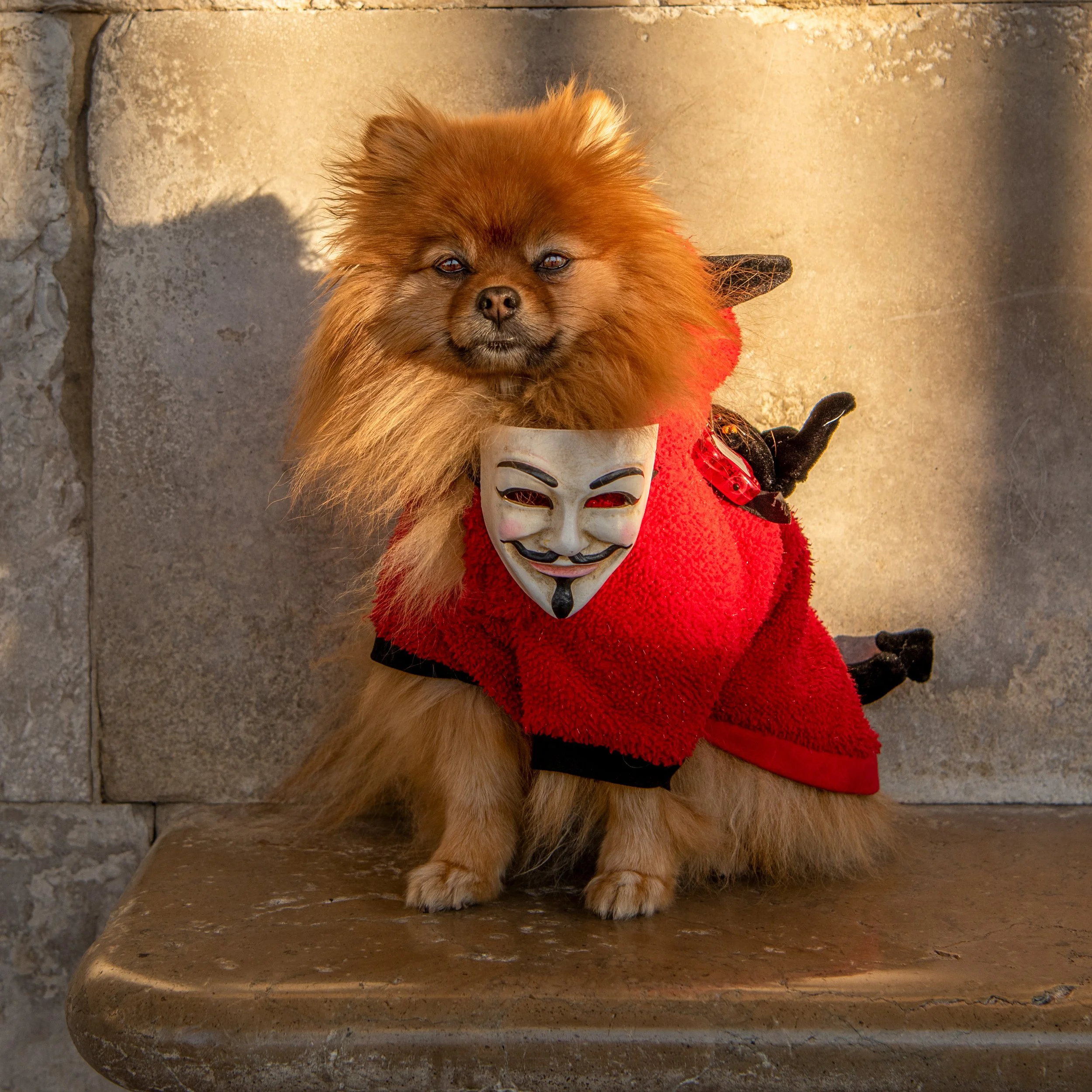 romeo8.jpg