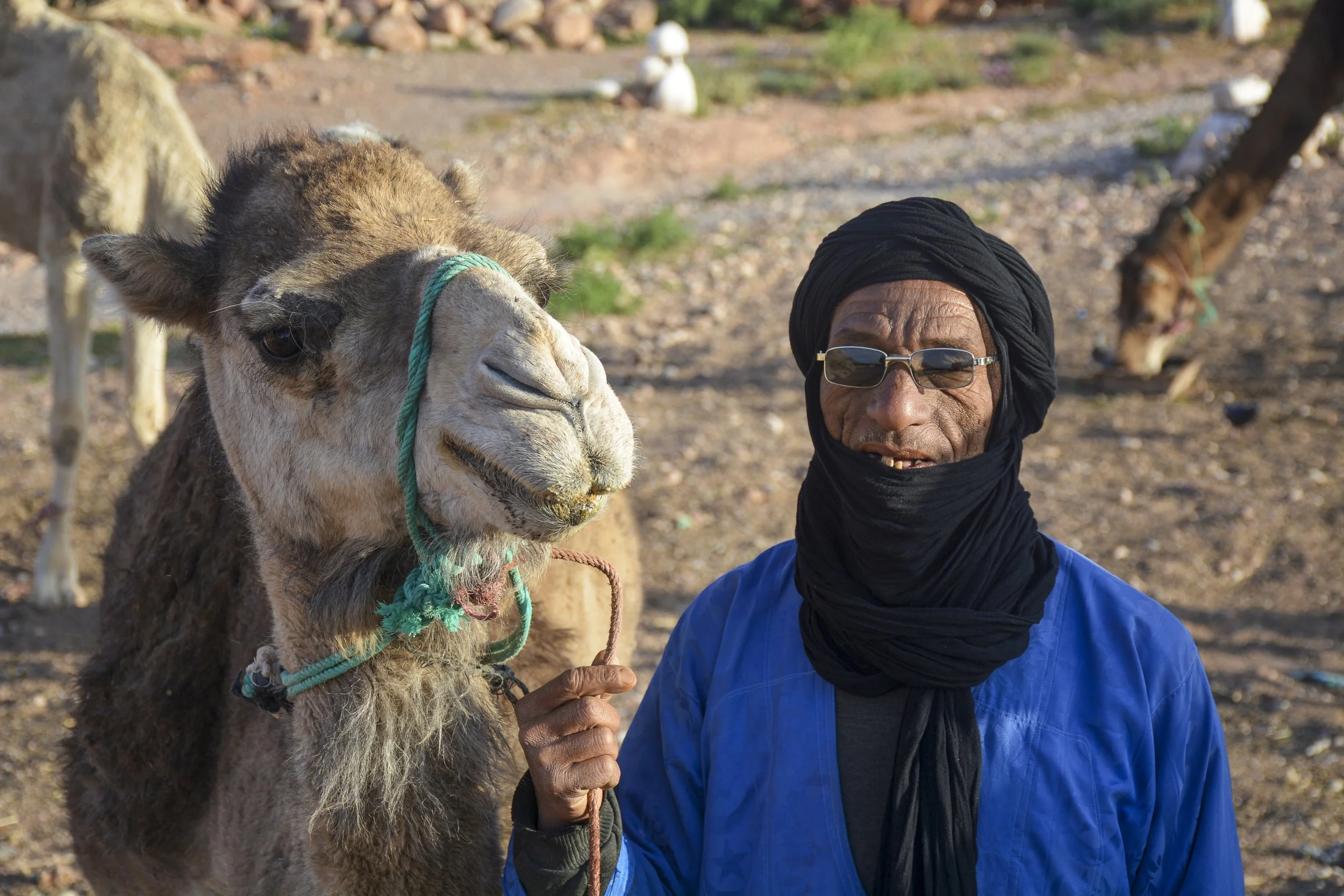 moroccoweb-14.jpg