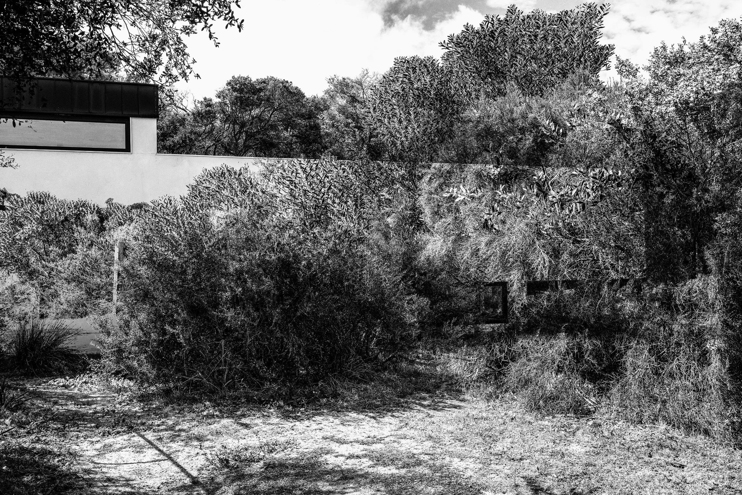 house3.jpg