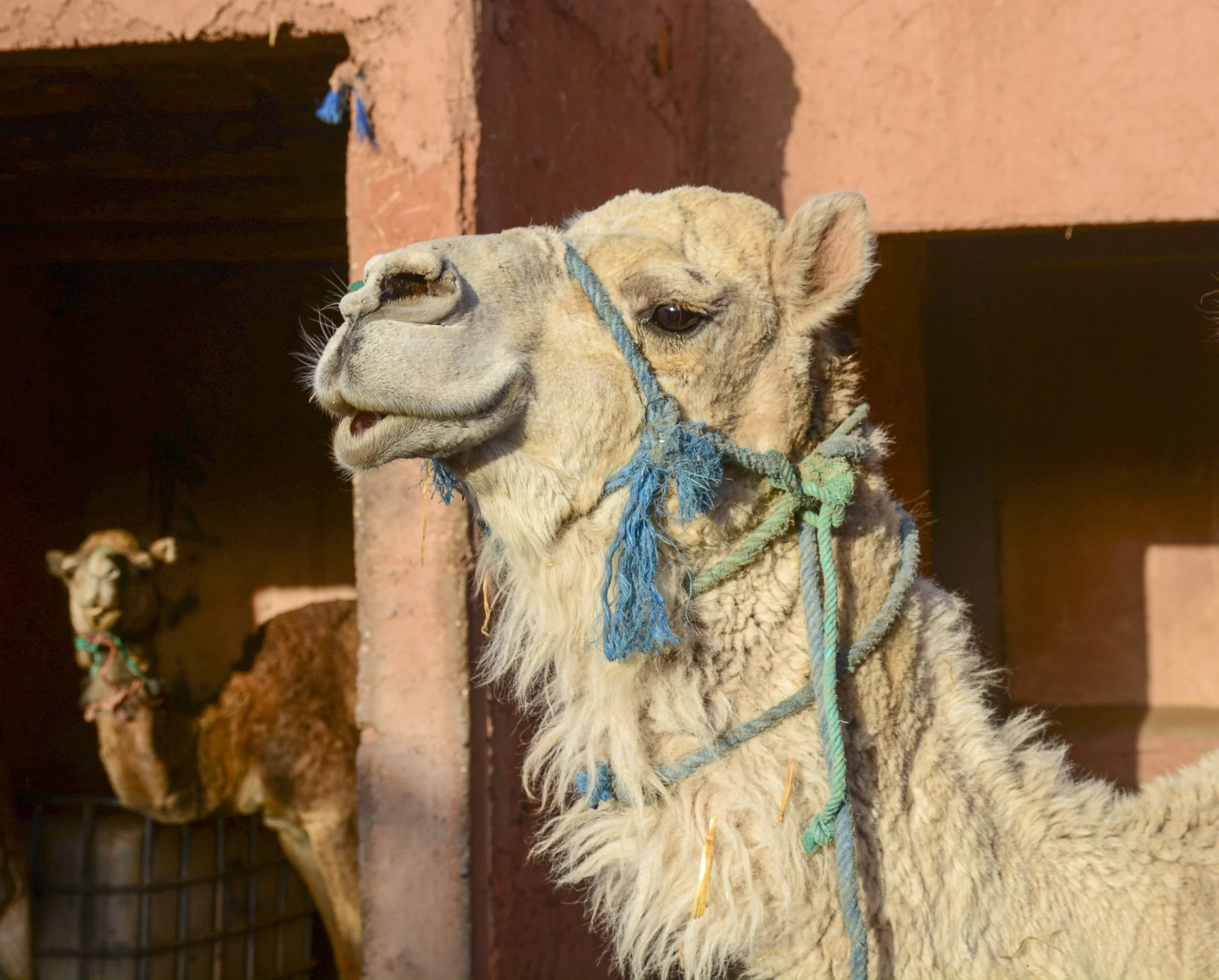 moroccoweb-12.jpg