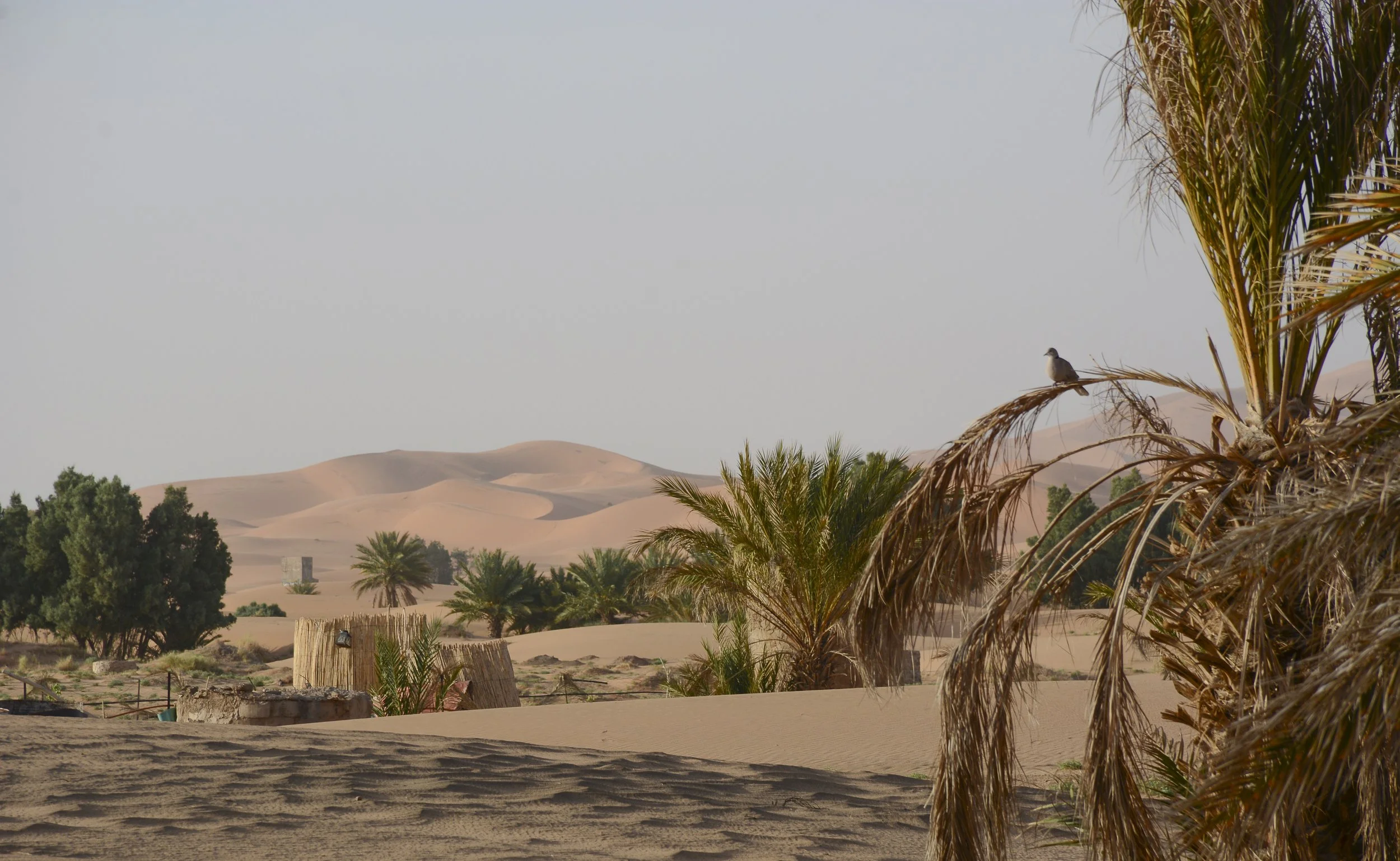 moroccoweb-39.jpg