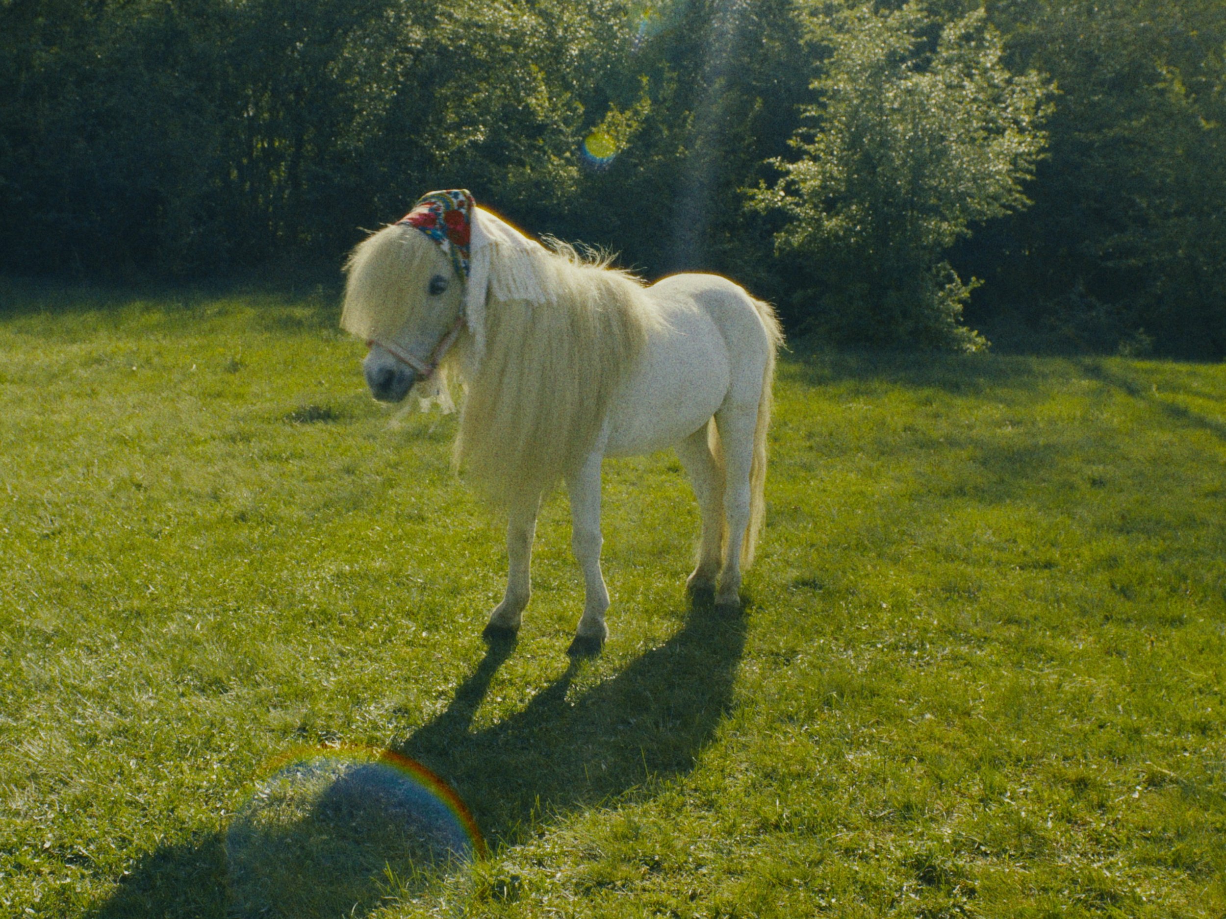 Still 2025-08-07 212622_1.6.1.JPG