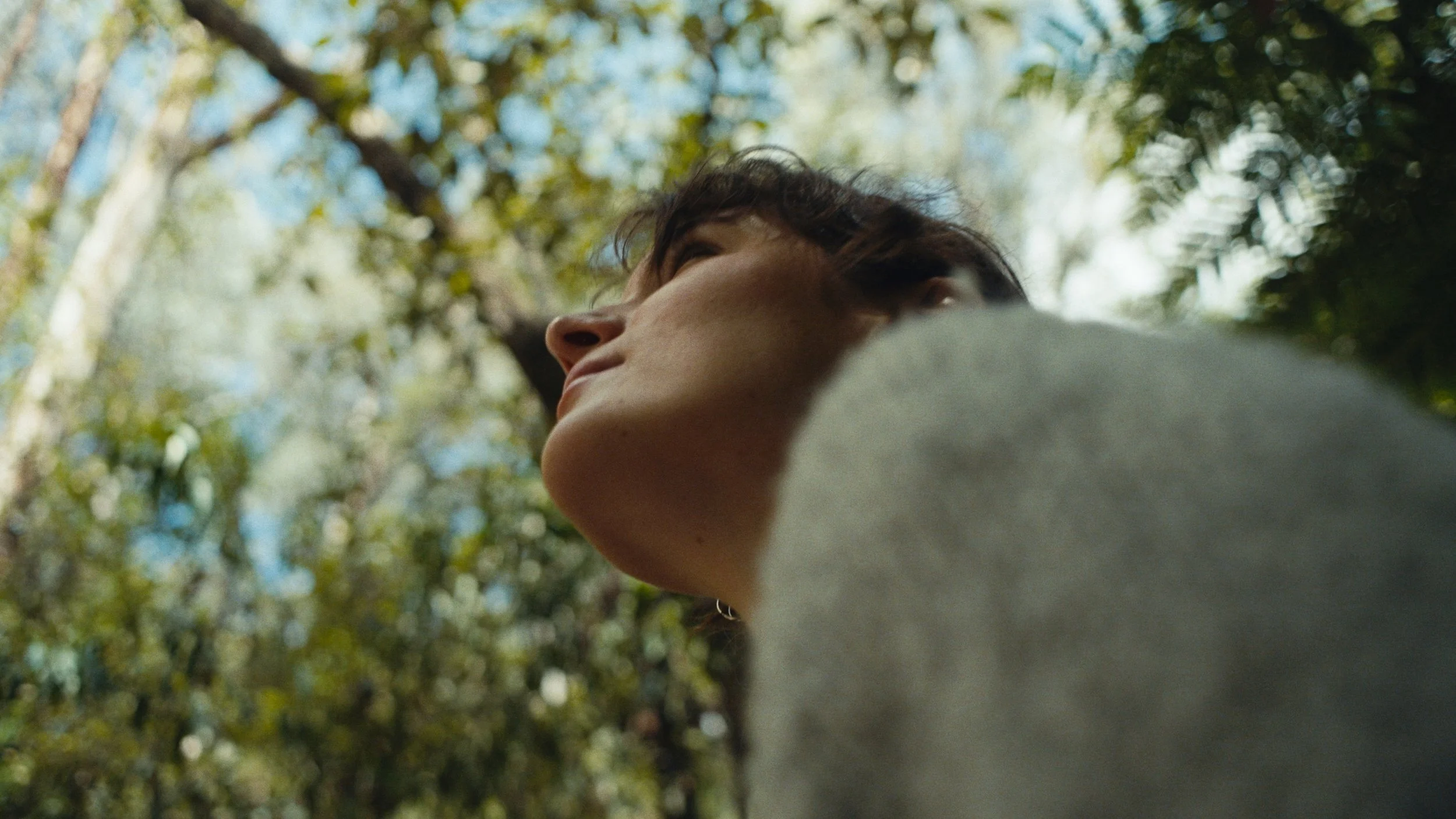 Still 2026-03-18 133241_1.55.1.jpg