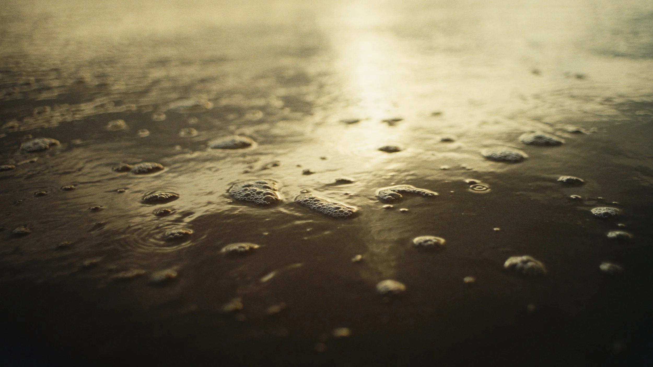 Still 2026-03-18 133241_1.33.1.jpg