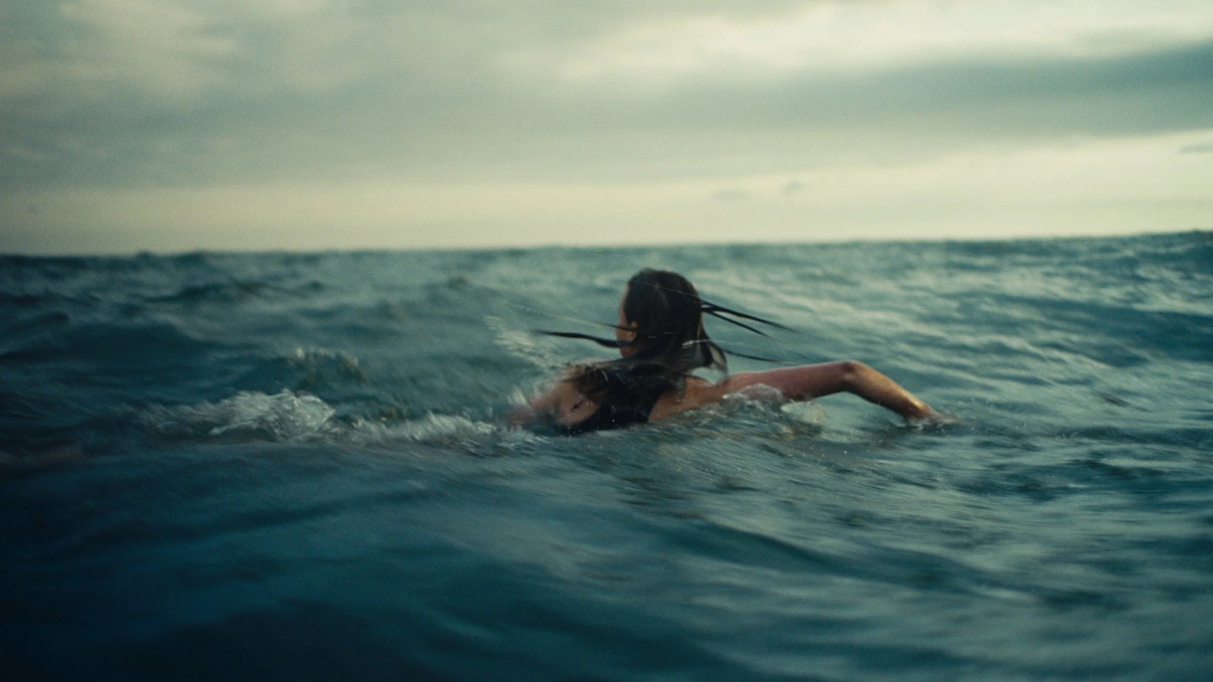 Still 2026-03-18 133241_1.74.1.jpg