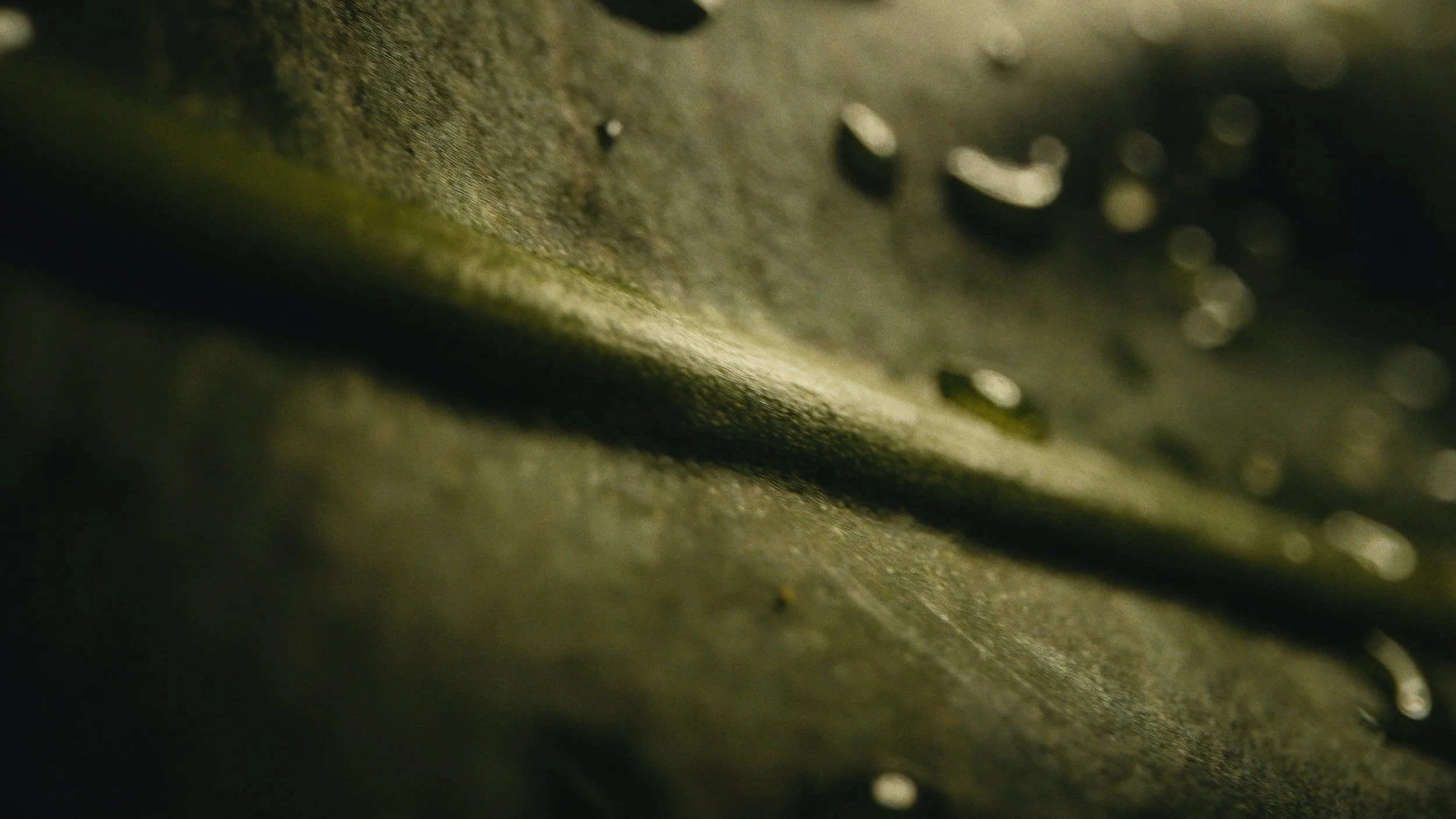 Still 2026-03-18 133241_1.40.1.jpg