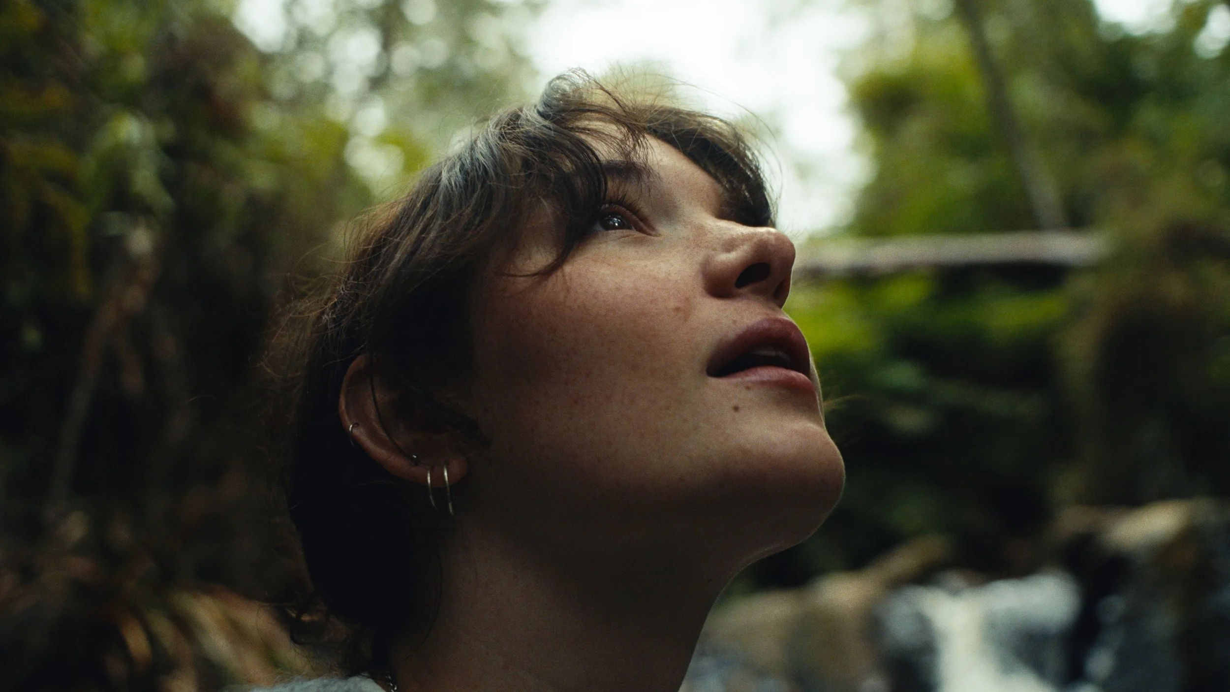 Still 2026-03-18 133241_1.59.1.jpg