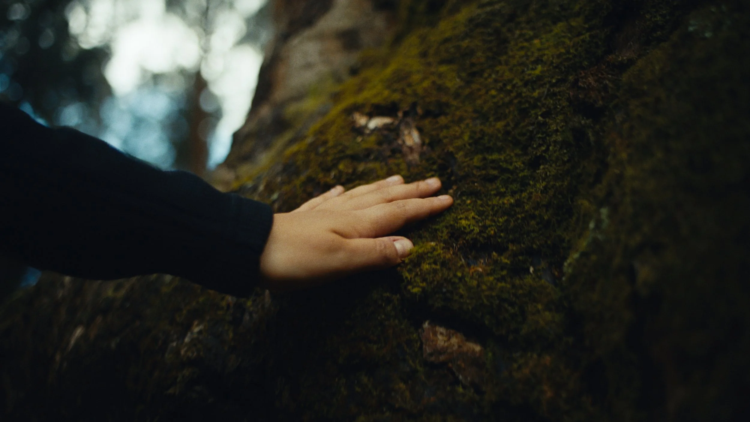 Still 2026-03-18 133241_1.68.1.jpg