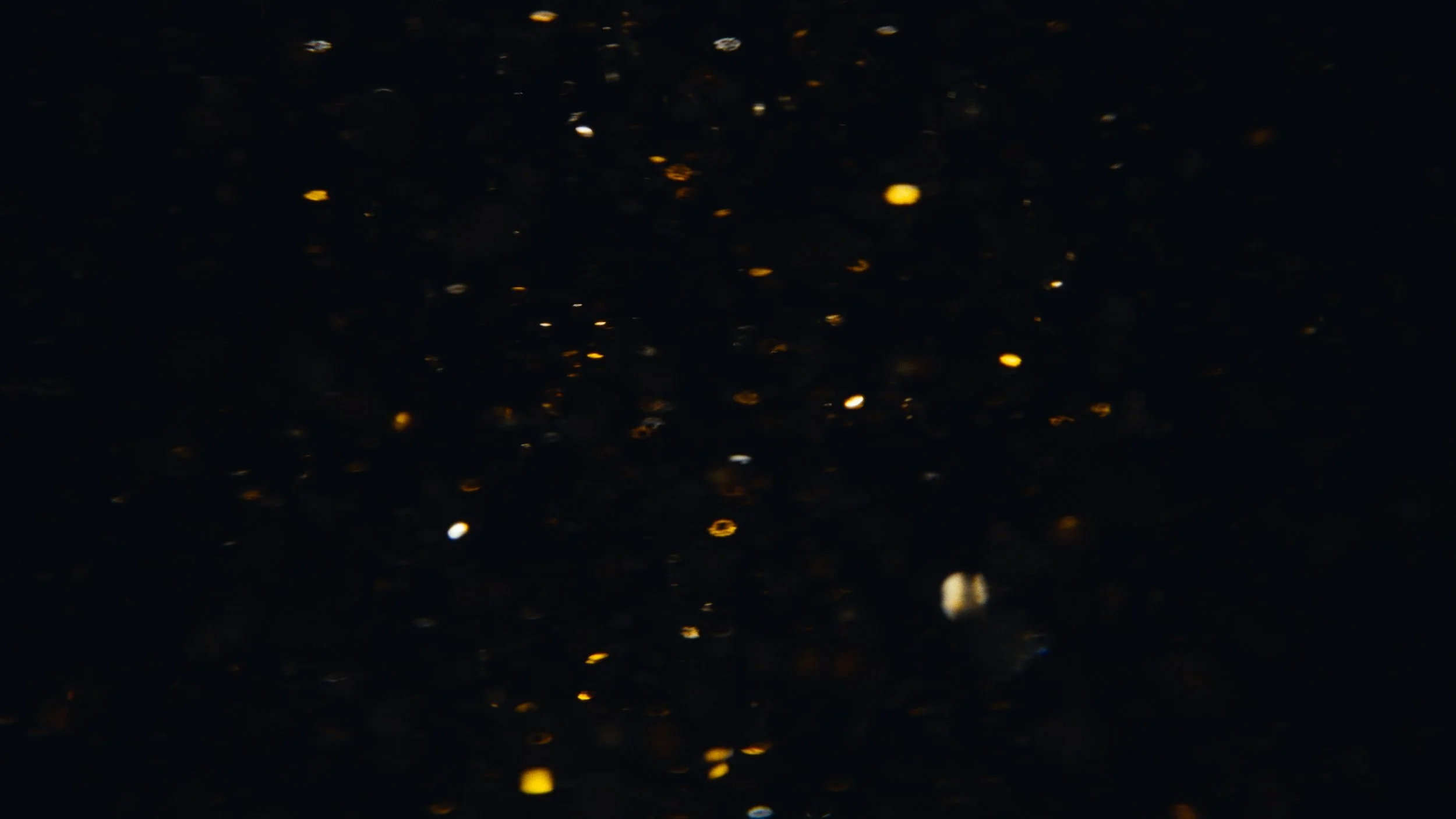 Still 2026-03-18 133241_1.43.1.jpg