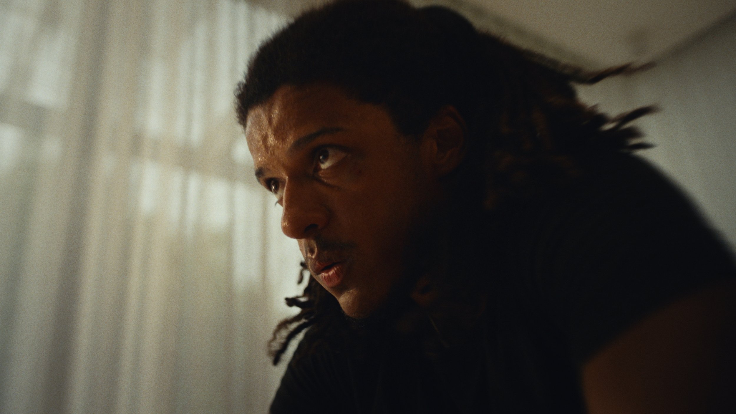 Still 2026-03-18 133241_1.47.1.jpg