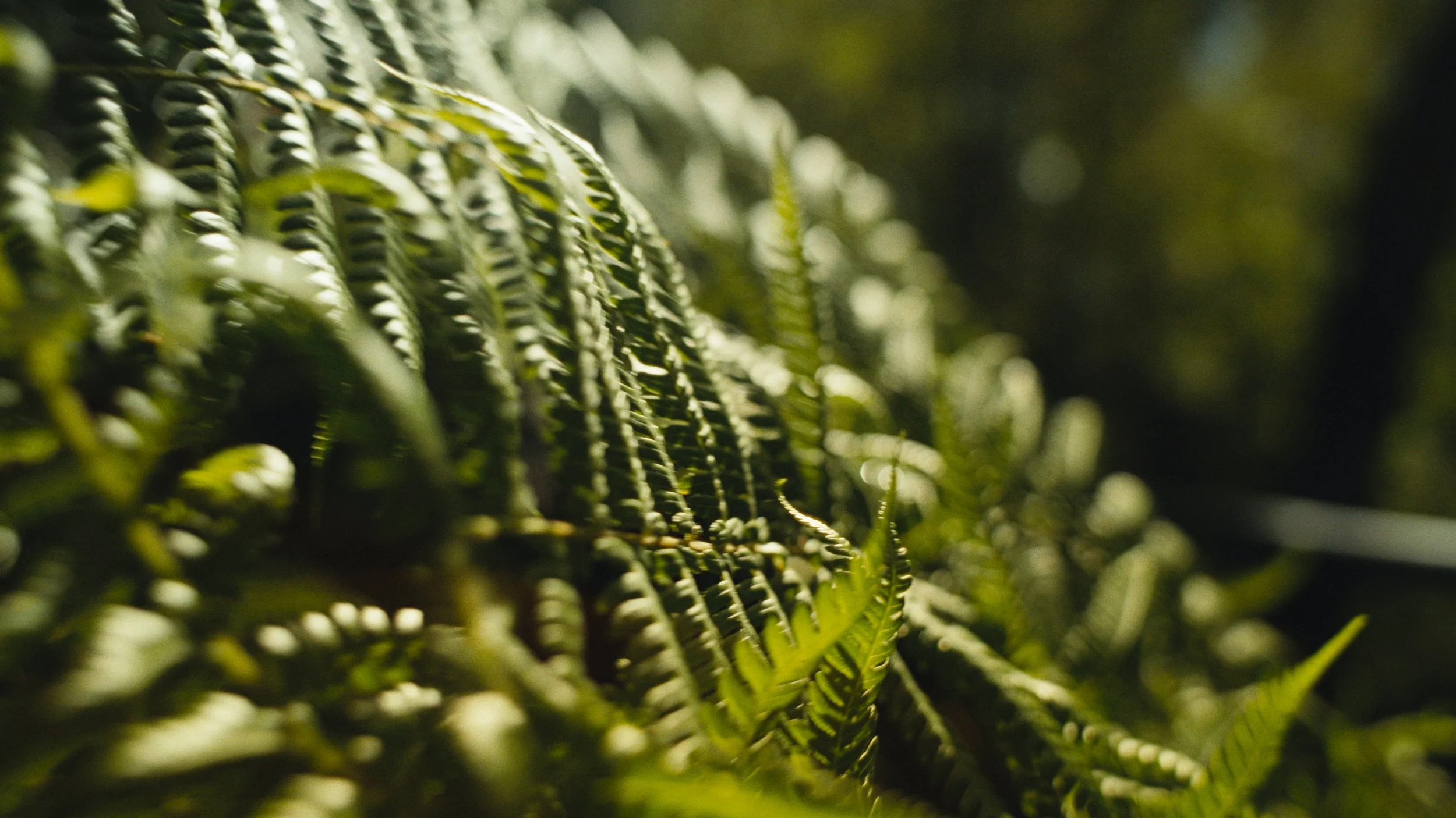 Still 2026-03-18 133241_1.57.1.jpg