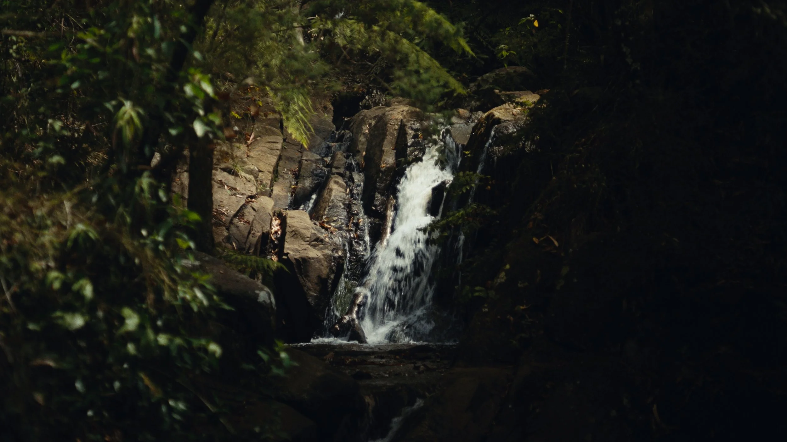 Still 2026-03-18 133241_1.39.1.jpg