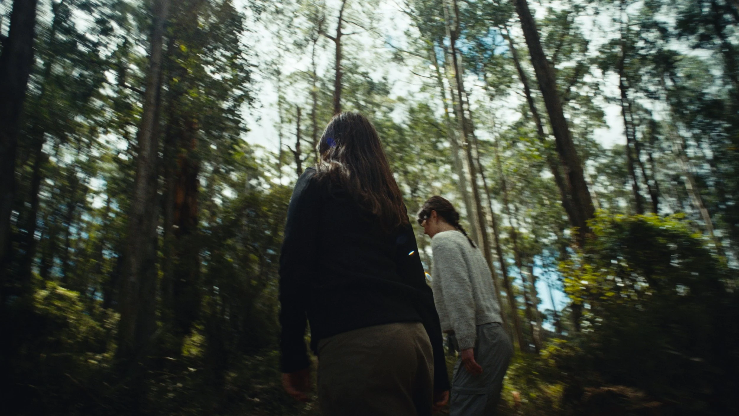 Still 2026-03-18 133241_1.73.1.jpg