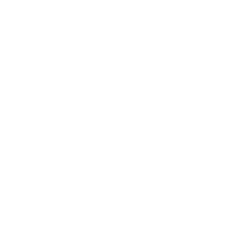 ⠀