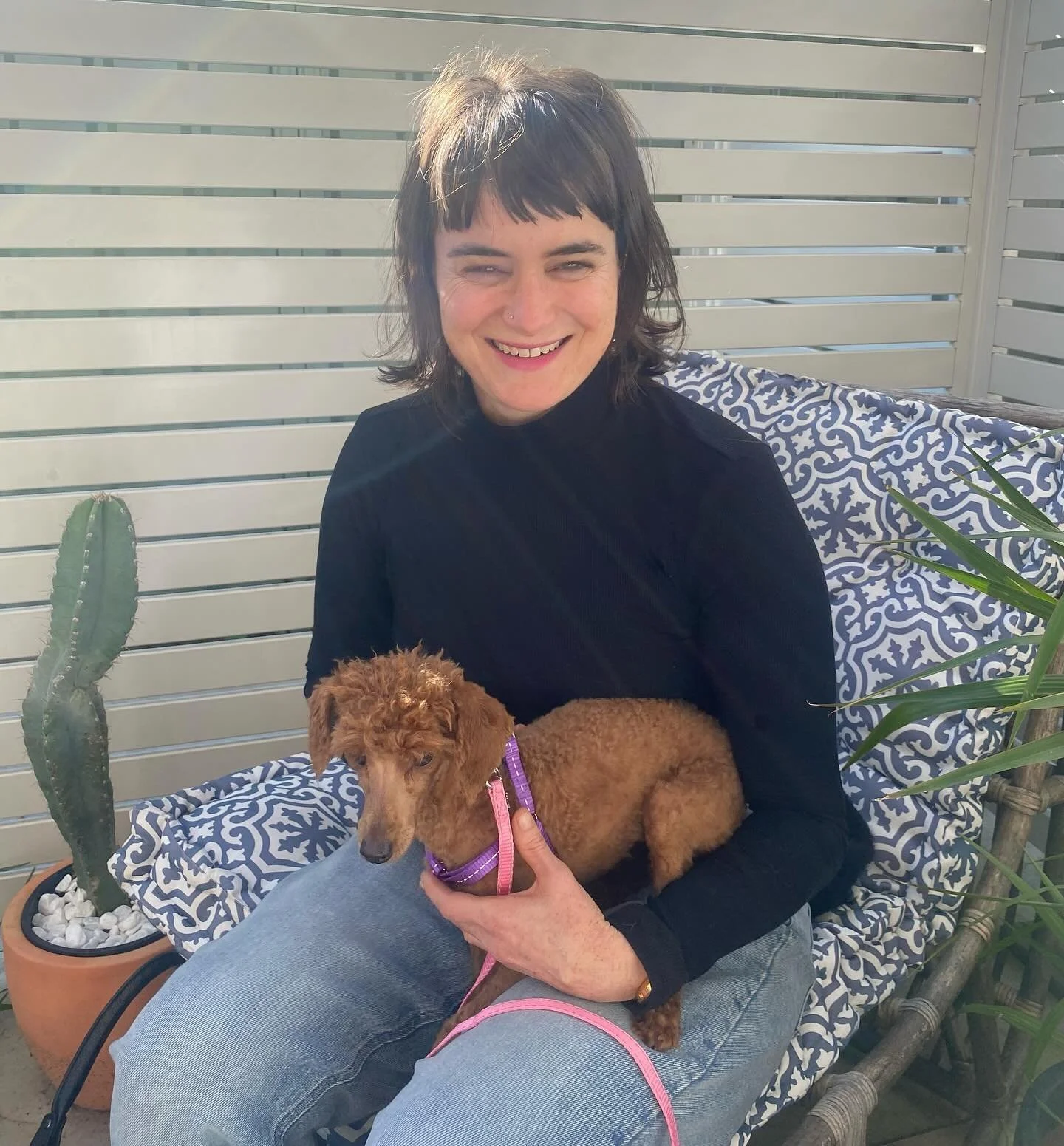 Meet Maple, my new rescue toy puppy poodle!! 💖🐩🍁😍🥳 She is tiny, smart &amp; very sweet. Currently a mere 2.8kg- I&rsquo;m already fattening her up with quality food and so much love. Archie my chocolate Burmese cat is being mostly great about it