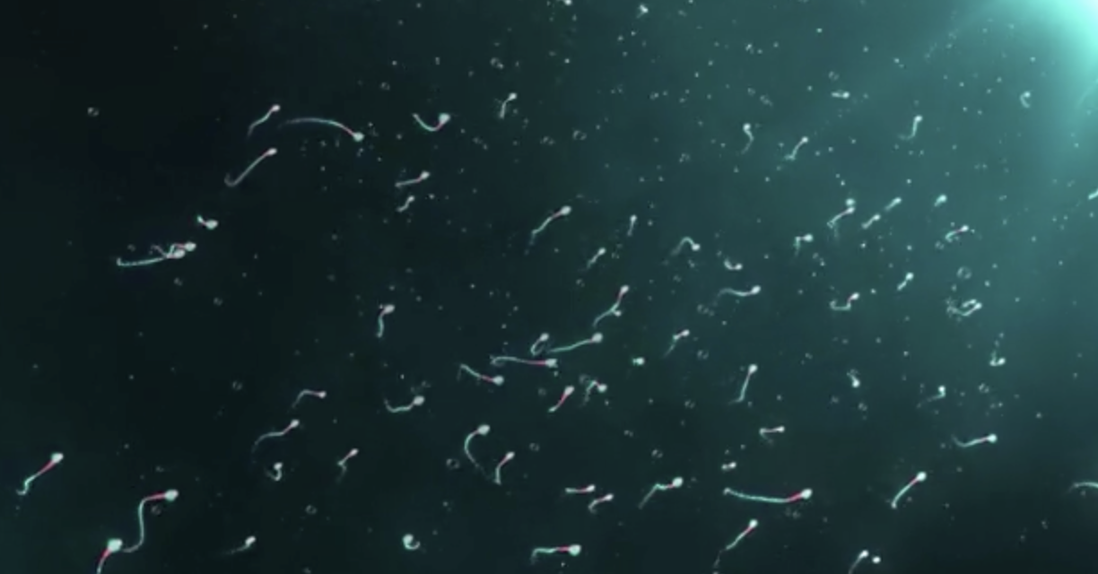 Male Fertility &amp; Sperm Health: How Diet, Lifestyle and Acupuncture May Help