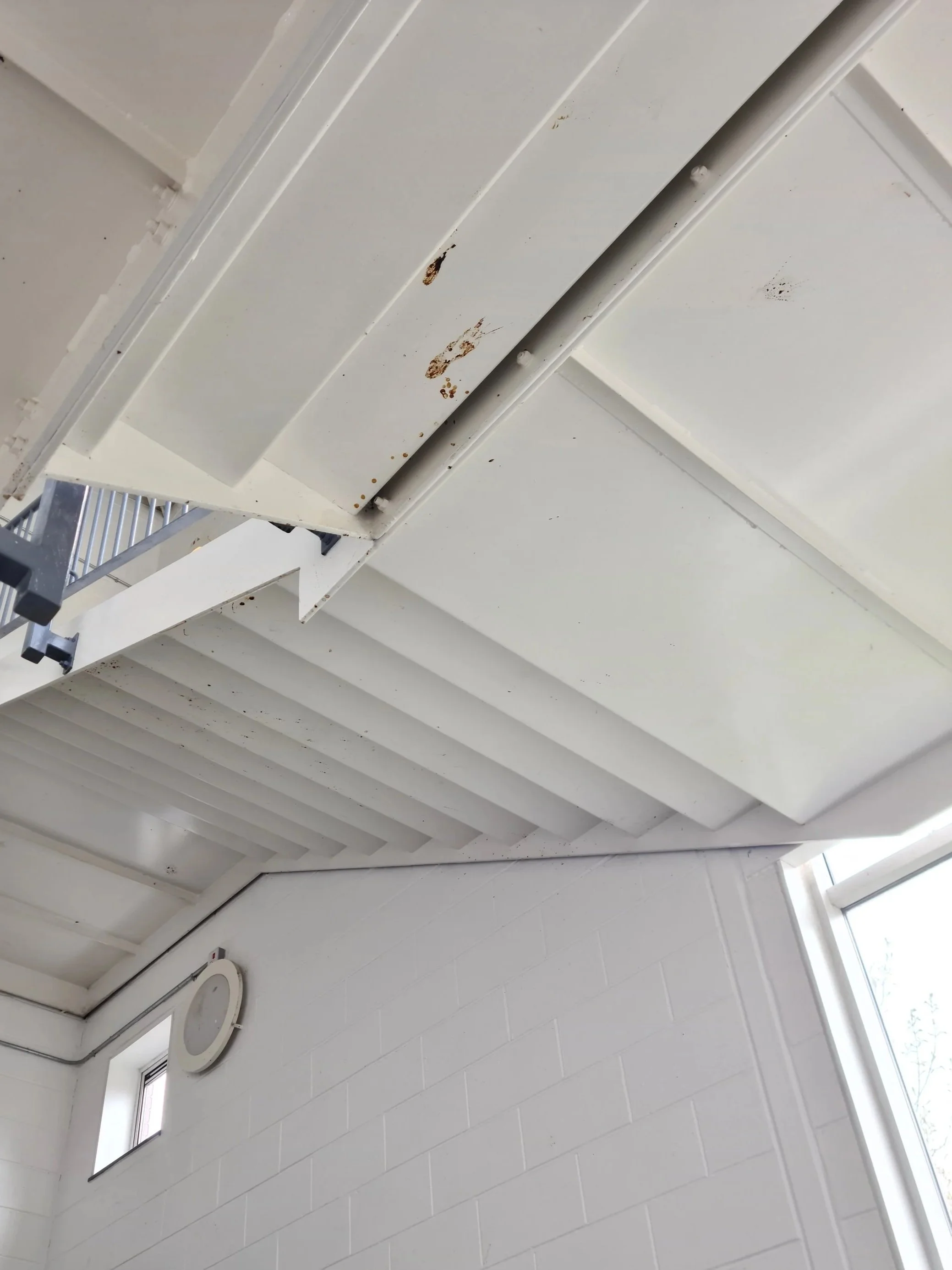The ceiling and walls of a room, showing white ceiling panels with some dirt and rust stains, a small window, and a round vent near the corner.