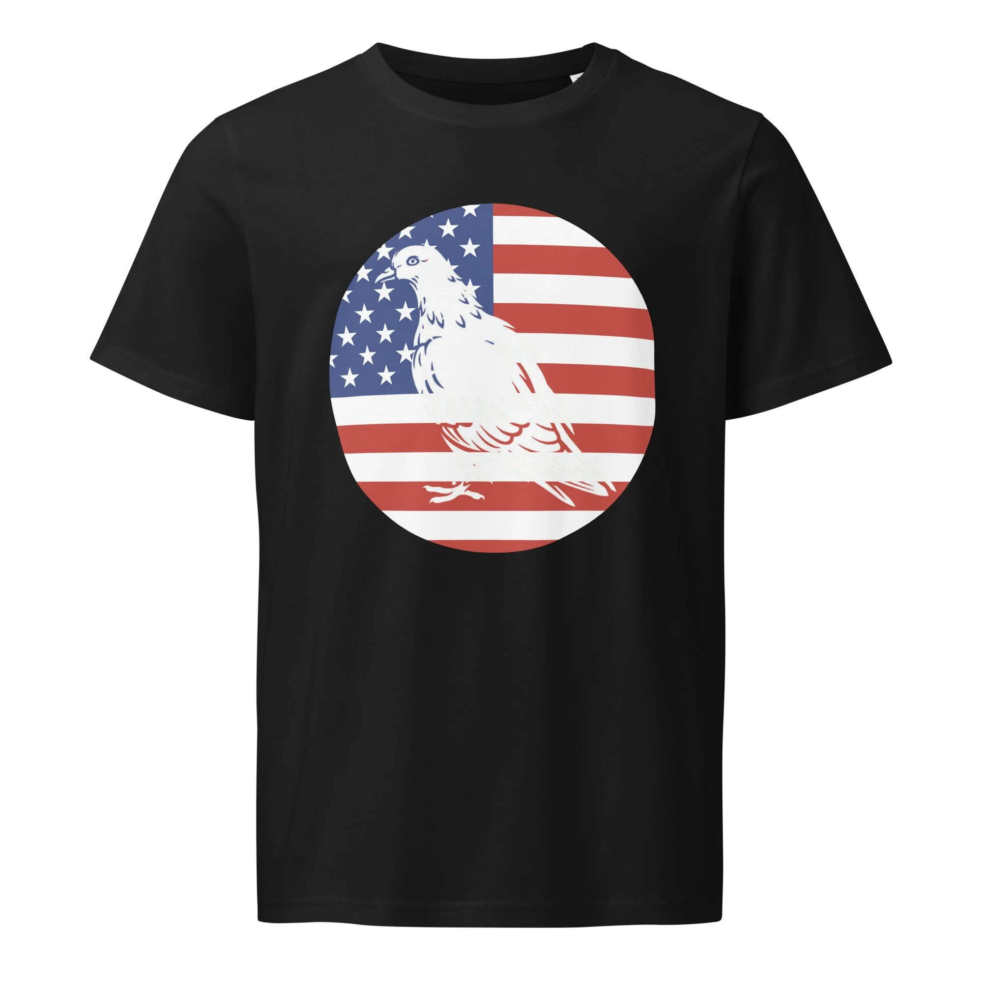 unisex-organic-mid-light-t-shirt-black-front-67f3024427ba3.jpg
