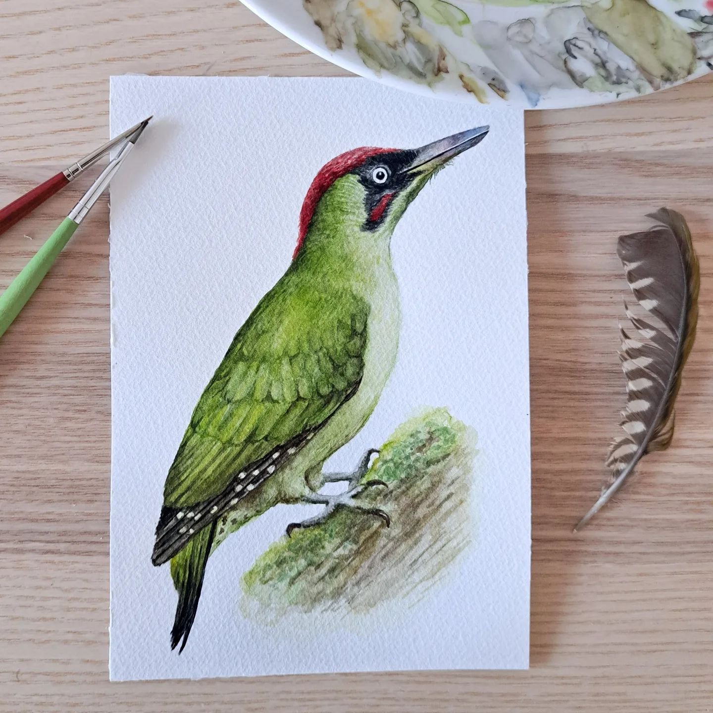 One of my most recent small paintings, an european green woodpecker.

I hear them a lot when I go for a walk in the woods because their call sounds like a loud laugh, very recognizable (you can listen to it in the music of this post), but it is very 