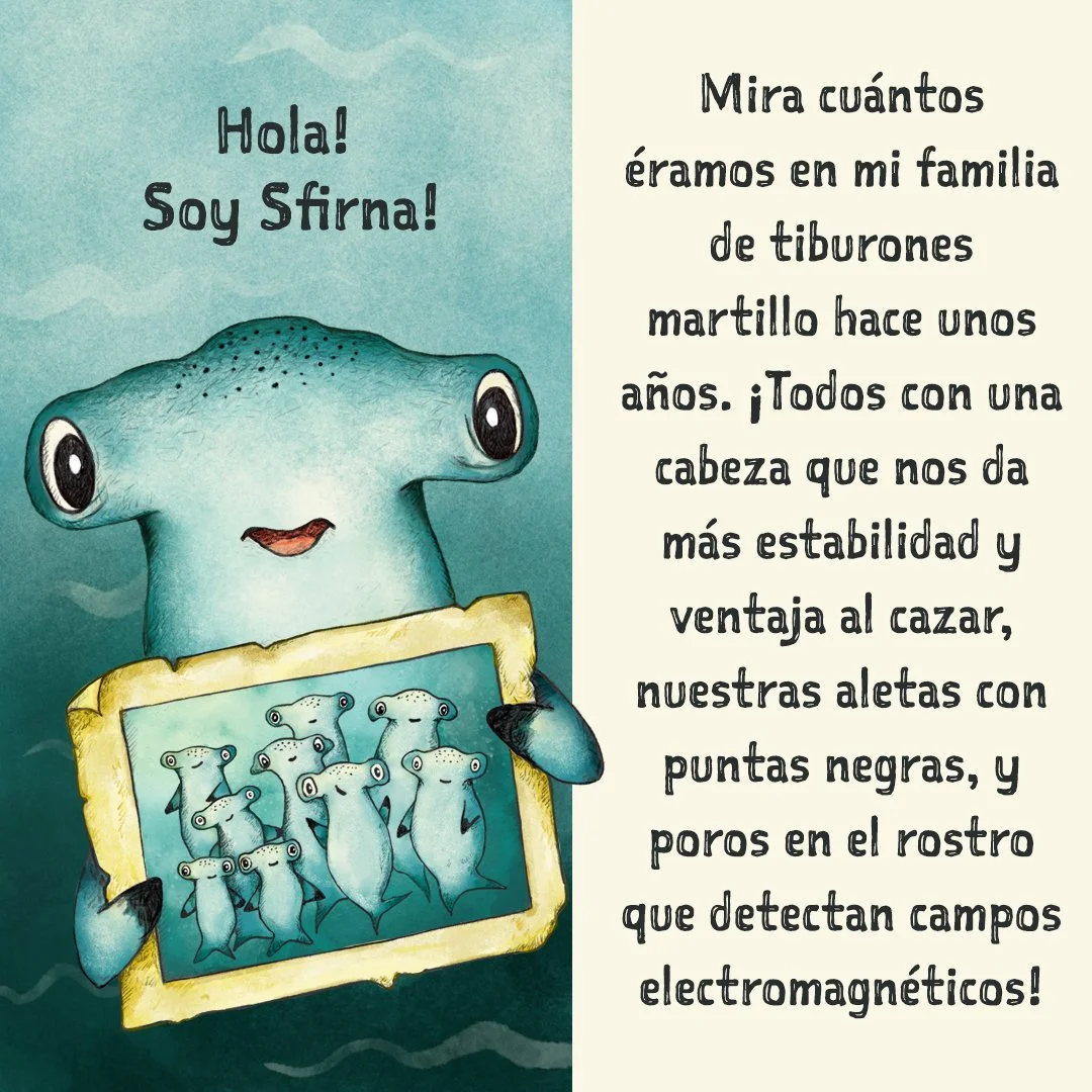 (English explanation below)

&iquest;Conoces al Tibur&oacute;n Martillo (Sphyrna lewini)? 🦈 Esta historia ilustrada te cuenta un poco sobre esta especie. Fue el resultado de mi trabajo para el curso Ilustra Infantil de @academia.illustraciencia con 