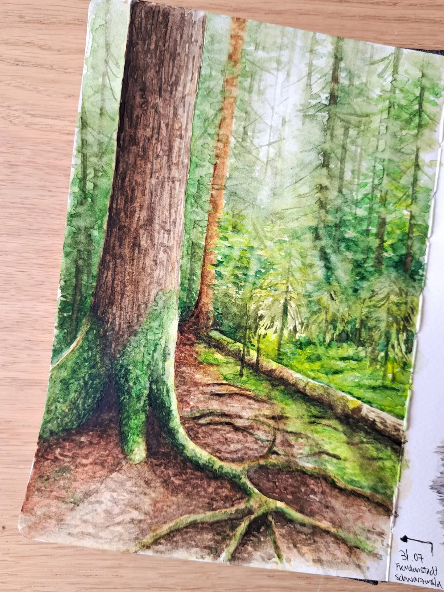 Some other drawings and sketches I made in the Black Forest during our trip 😄