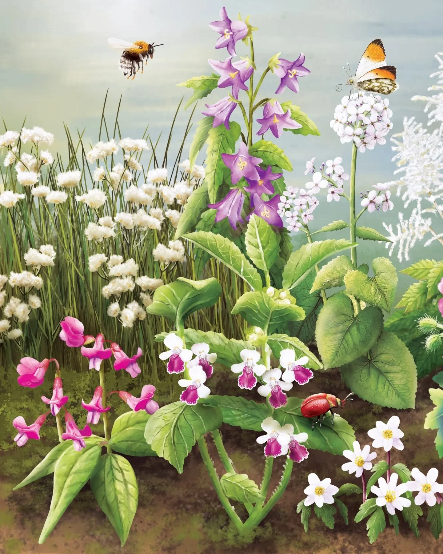 A variety of native wild plants that help promote biodiversity. You can find this illustration on a signage at the @muz.oebz

Swipe to see the second part of the illustration! 🌸
