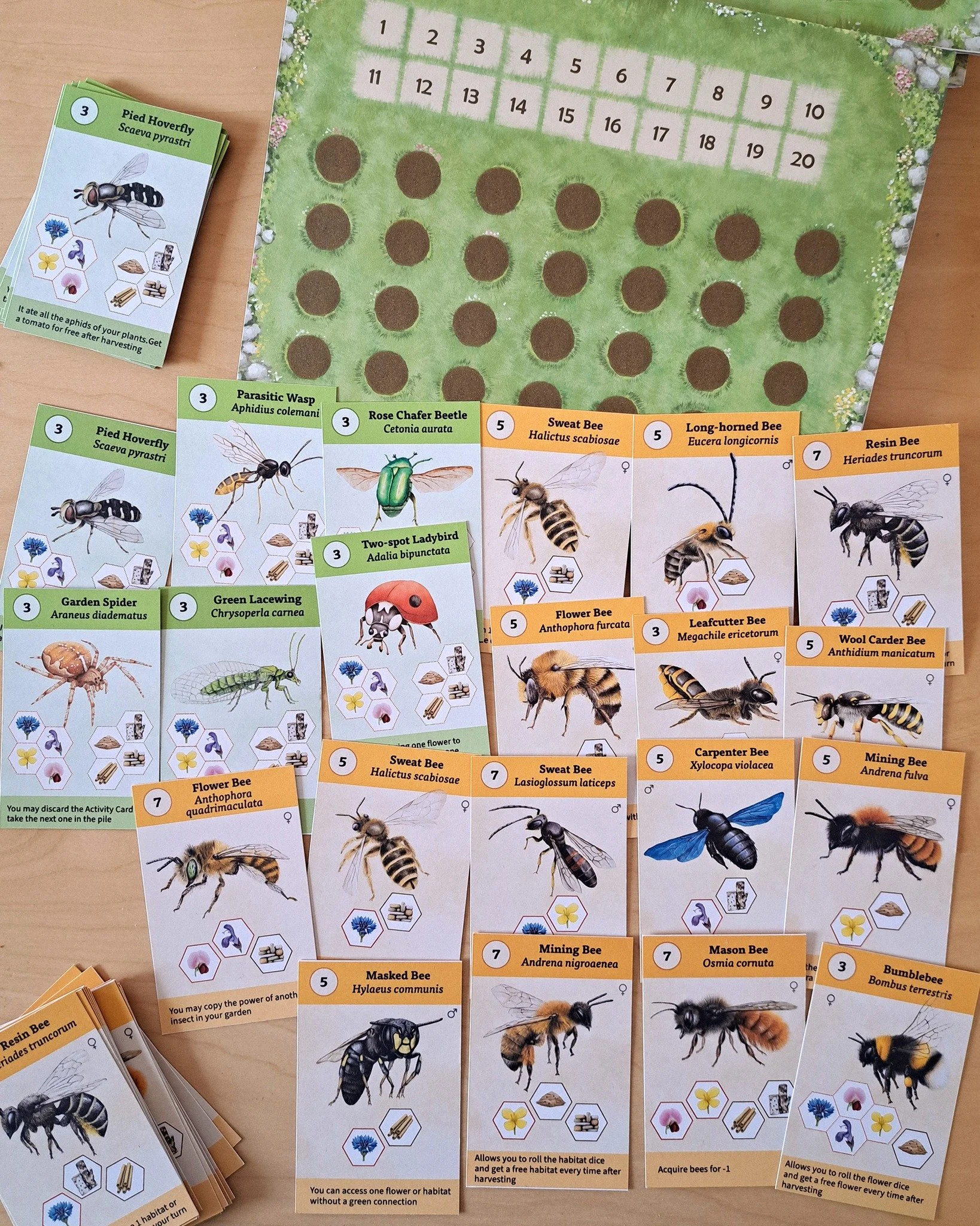 Finally, the card set for The Bee Effect Board Game is complete! 🌿🐝

If you would like to see the prototype in person, it will be showcased tomorrow at TUM Sustainability Day, at the Urban Productive Ecosystems stand in the Life on Earth &amp; Biot
