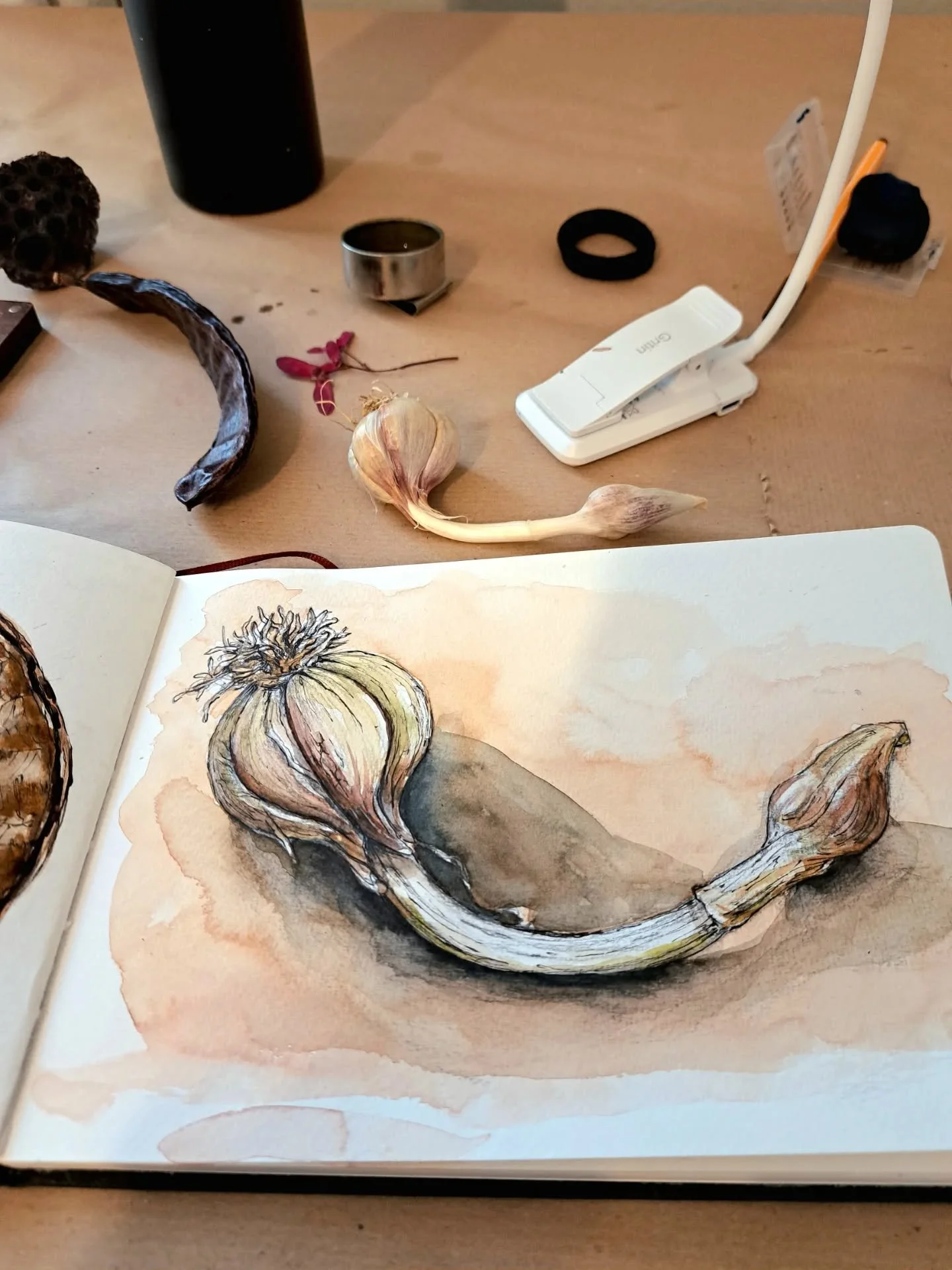 Drawing today at Claudia&rsquo;s atelier @bambuszweig surrounded by her always inspiring subjects and nice company! 😊