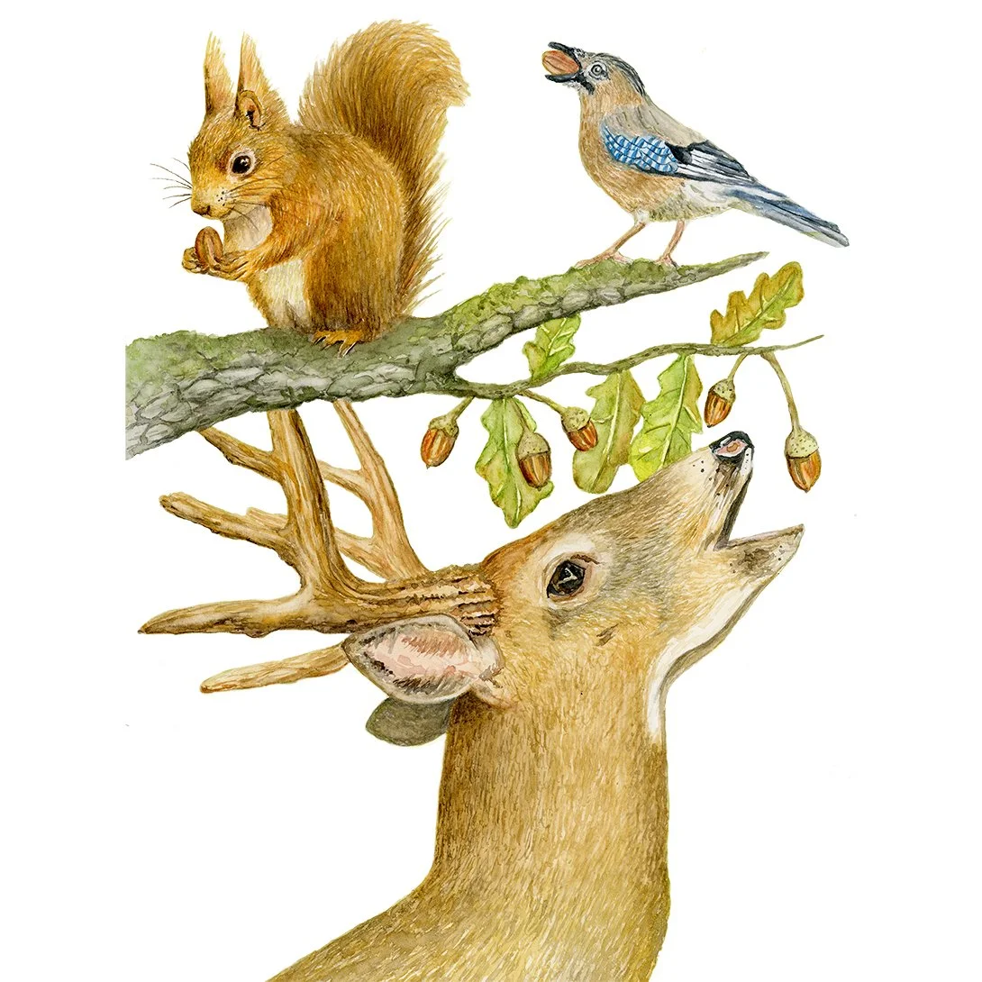 Harvest Original 1.jpg