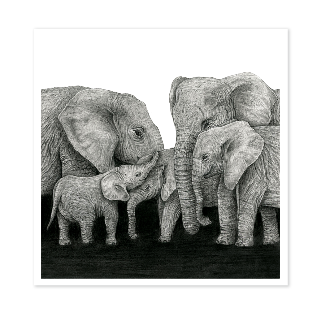 Elephant Family - Print