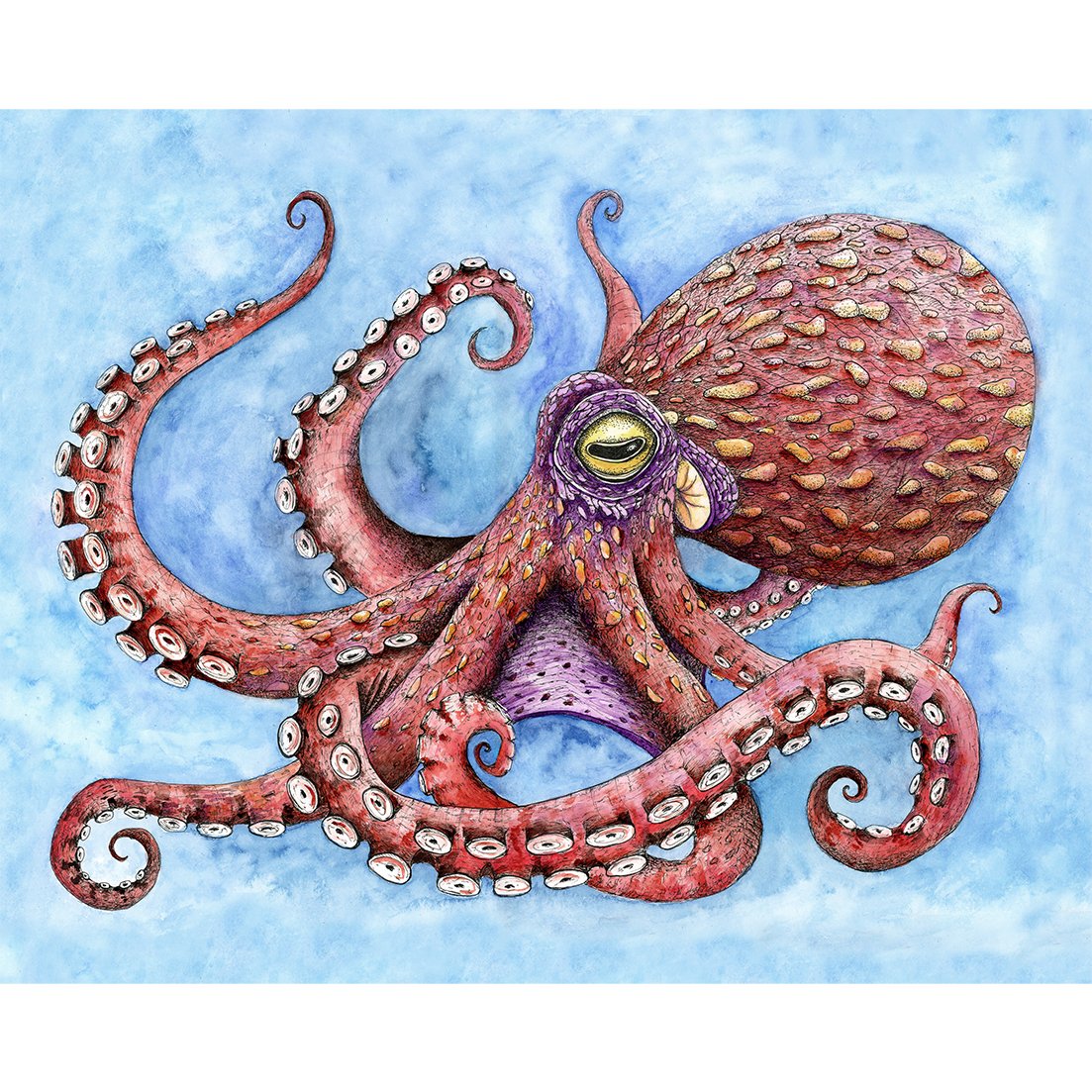 Red Octopus - Original