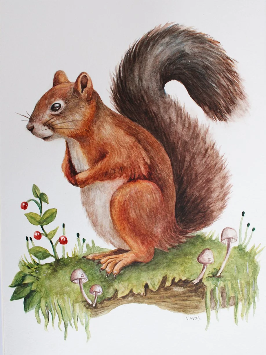 Squirrel Original3.jpg