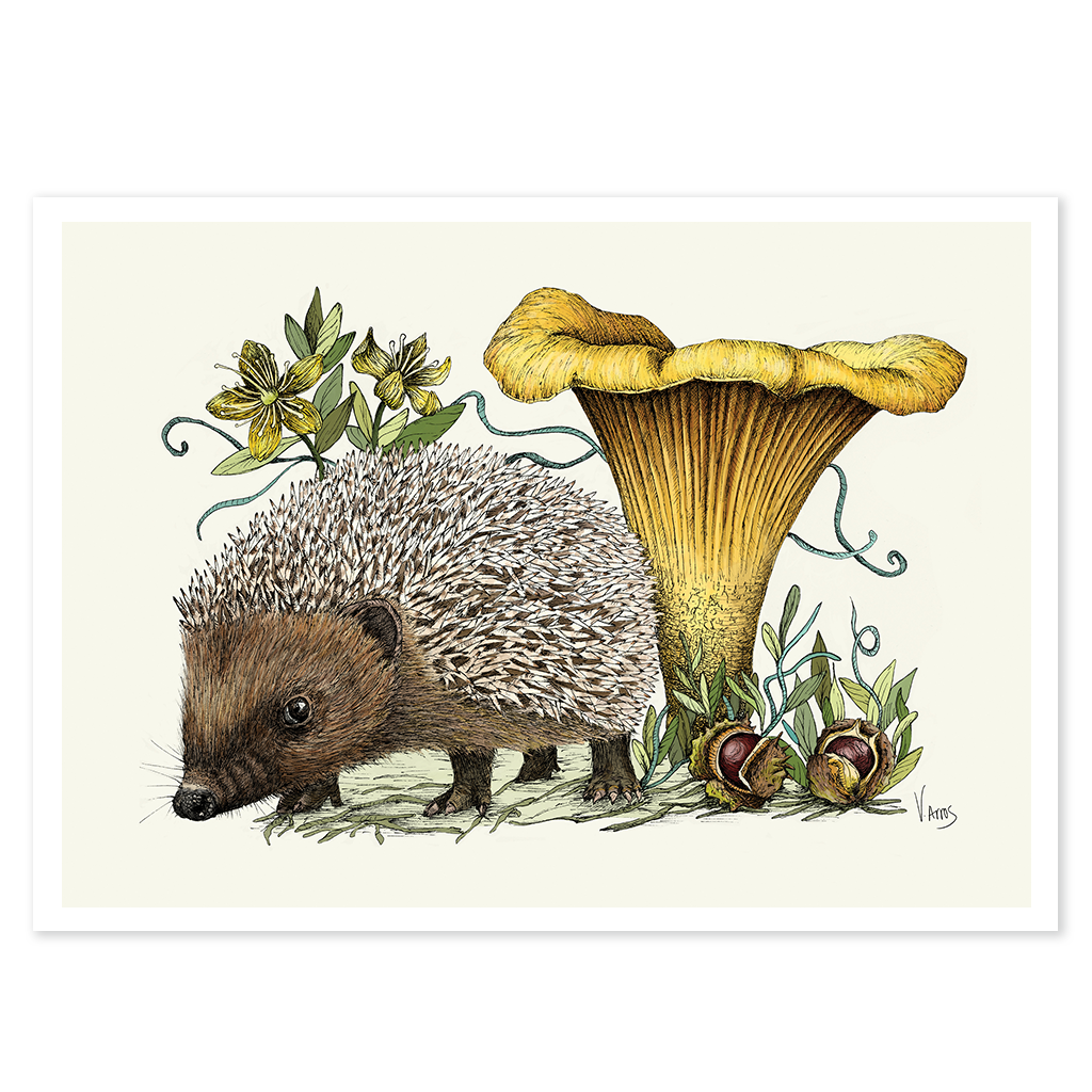 Hedgehog and Chanterelle - Print
