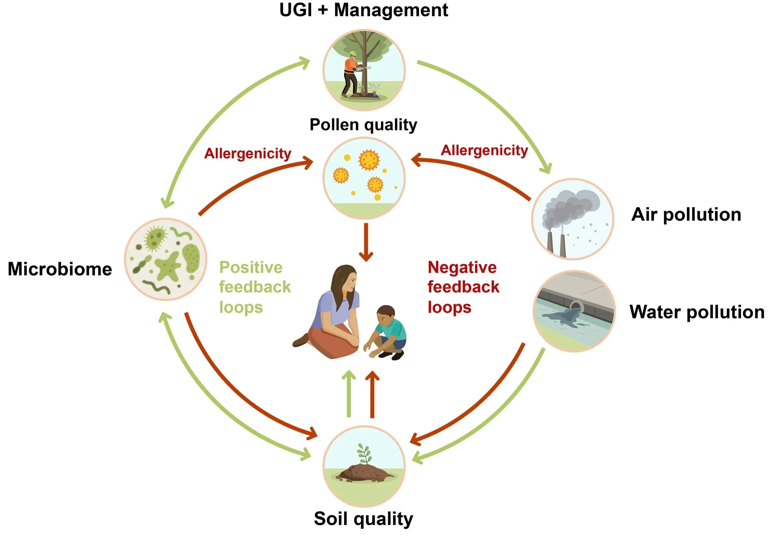 Systems and Interactions