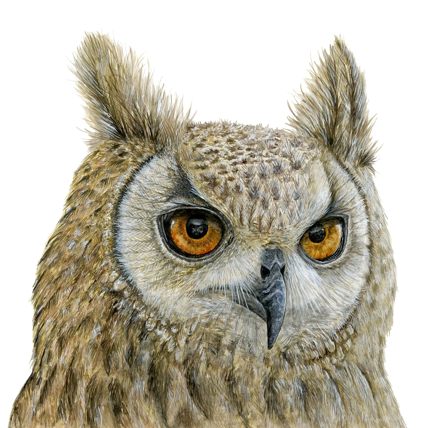 Eagle-Owl - Original