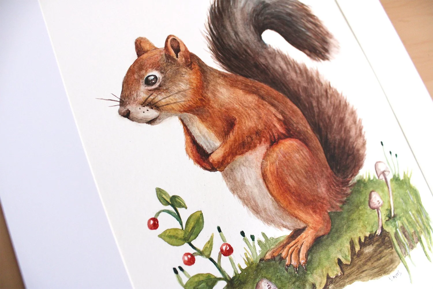 Squirrel Original2.jpg