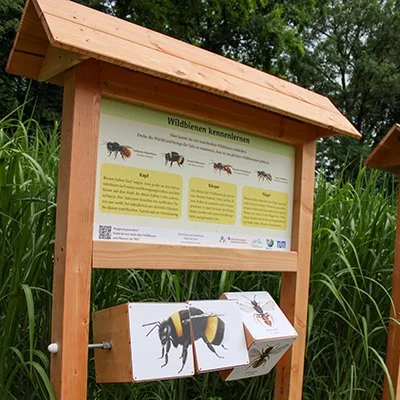 Interactive Panels about Wild Bees