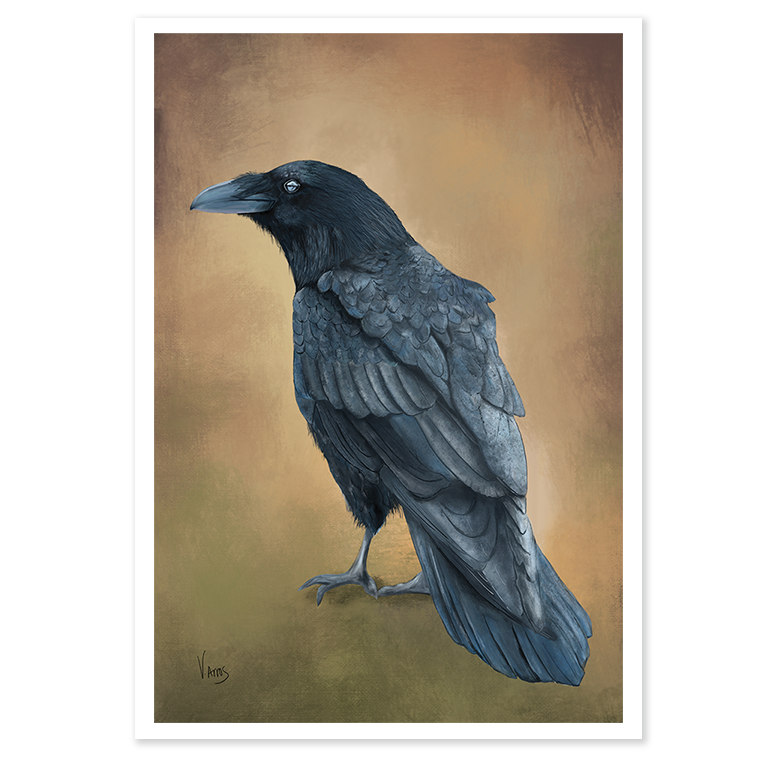Raven - Print