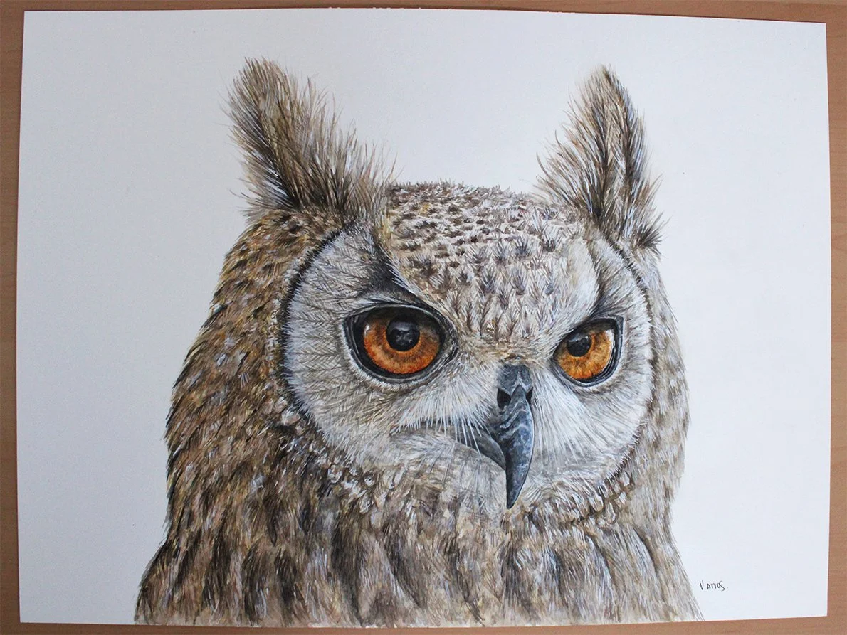 Owl Original2.jpg