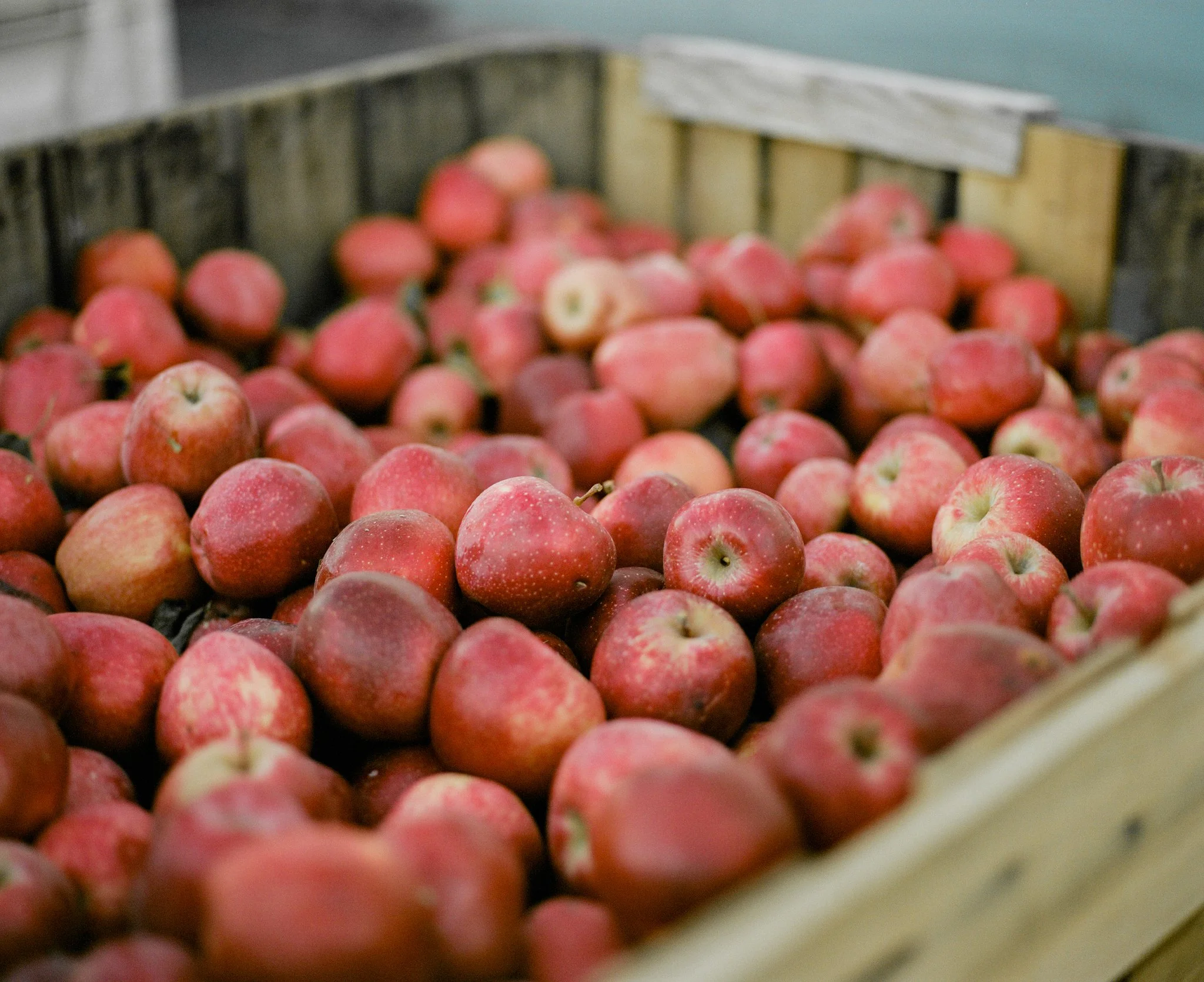 Graves Mountain, Virginia