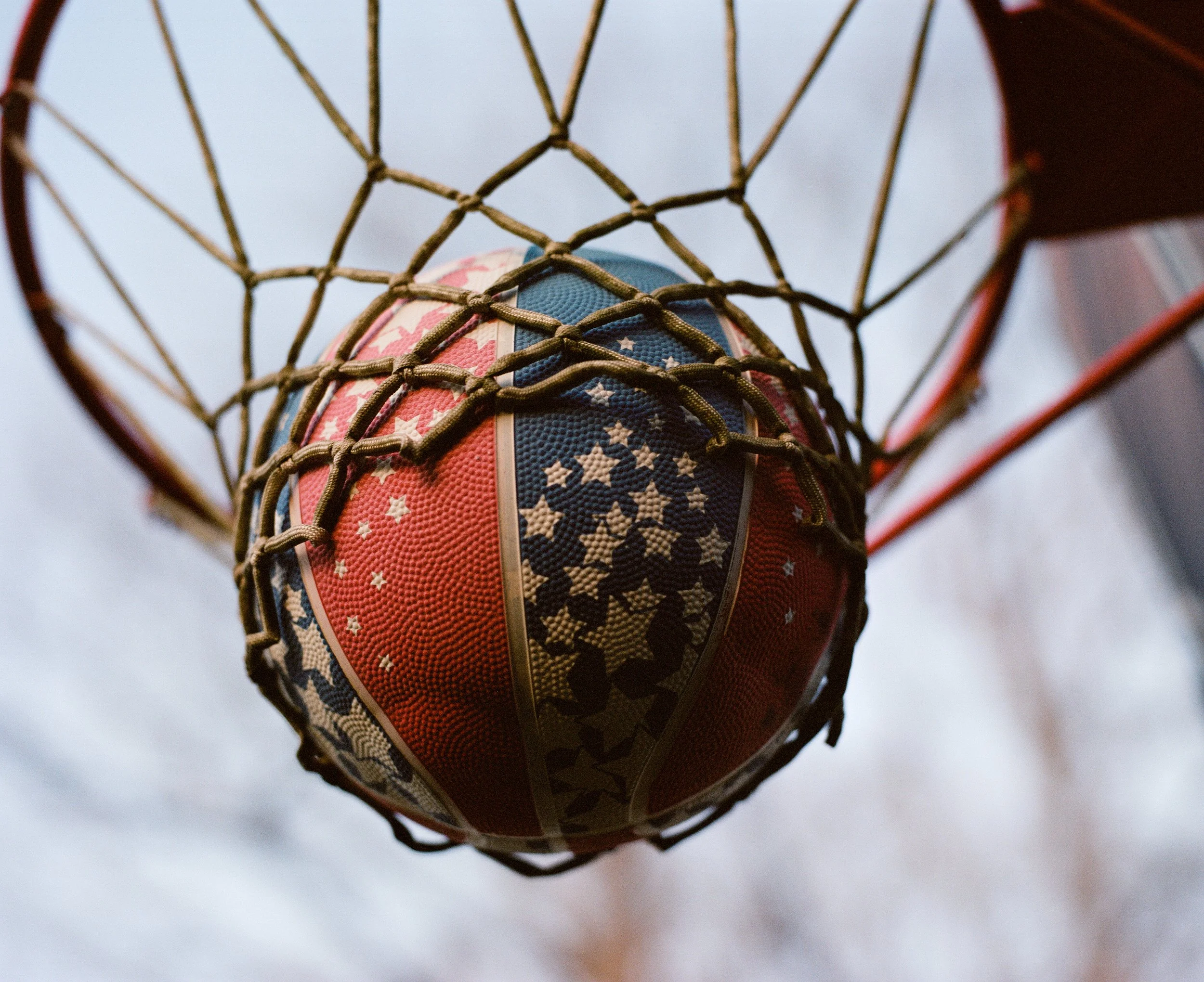 Basket, Cameron Court.jpeg