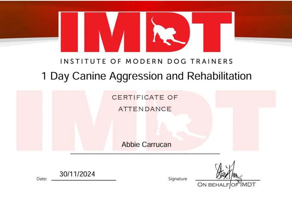 JPEG aggression Cert.jpg