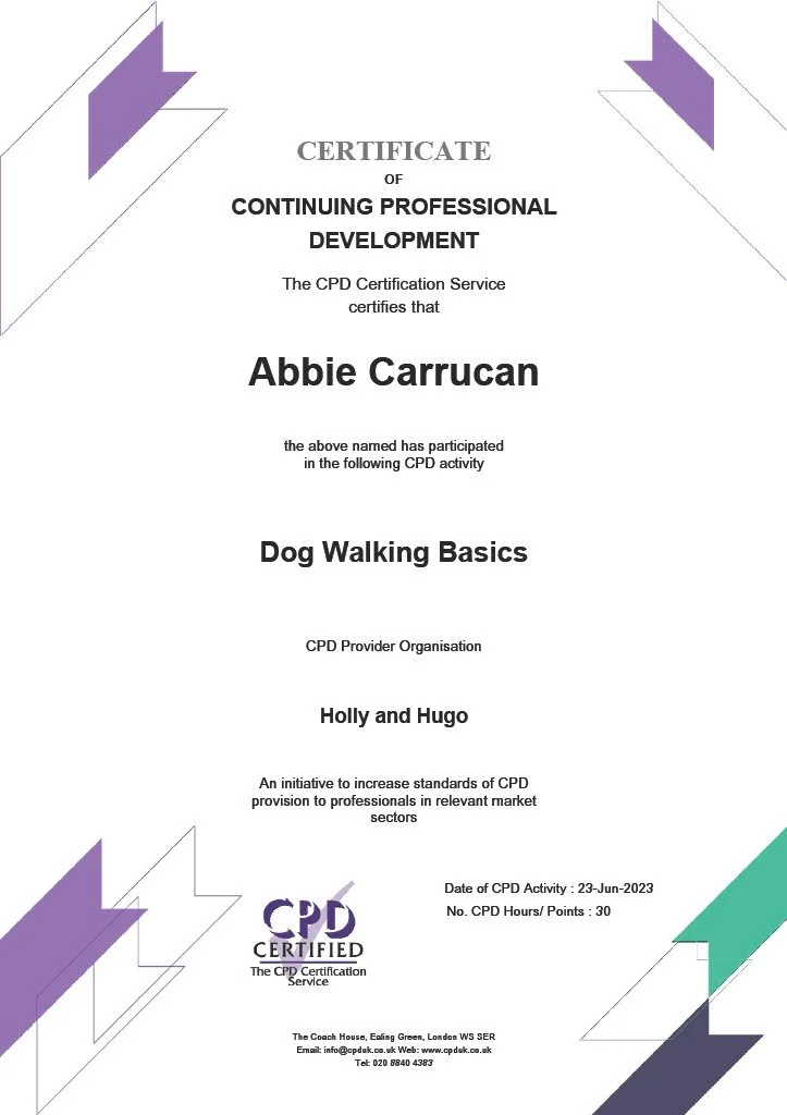 ABBIE DOG WALKING BASICS CERTIFICATE.jpg