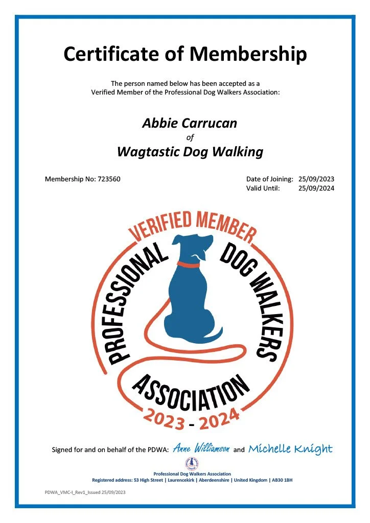 PDWA-Individual-Member_Certificate-723560_Validity-250924.jpg