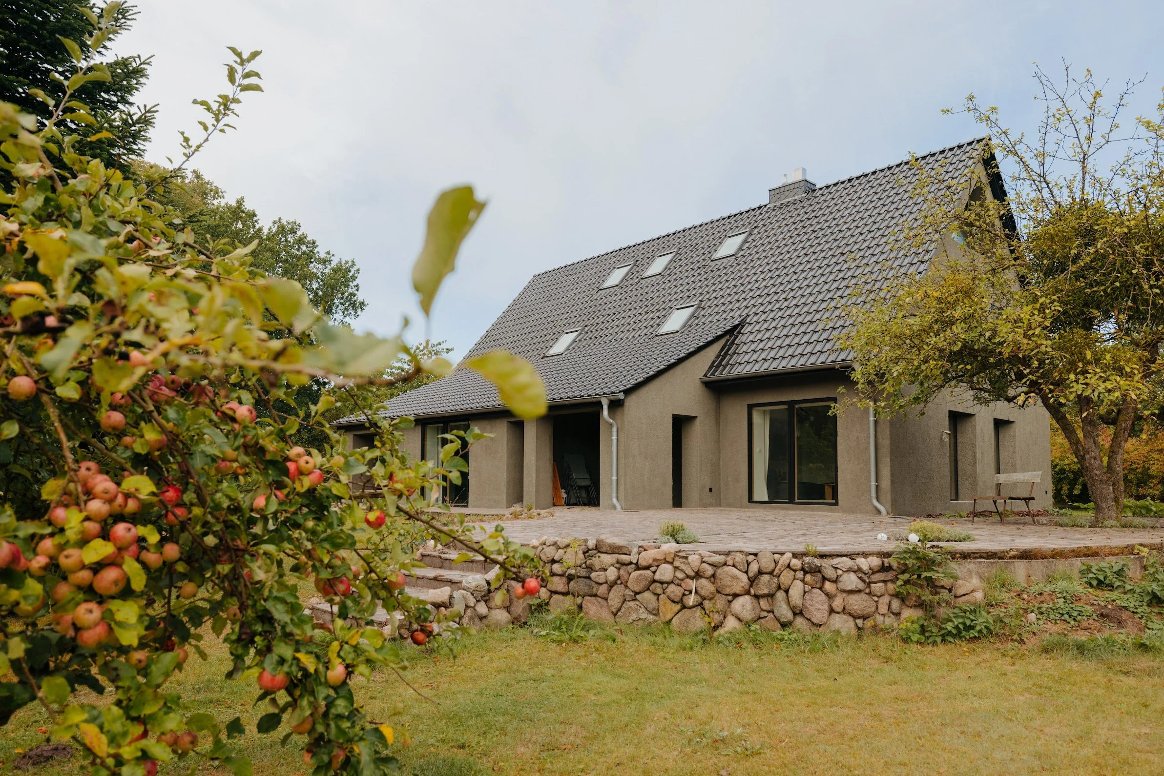 Mellenau 9. Modern house with black roof, large windows, and a stone terrace, surrounded by trees and a garden with an apple tree in the foreground.
