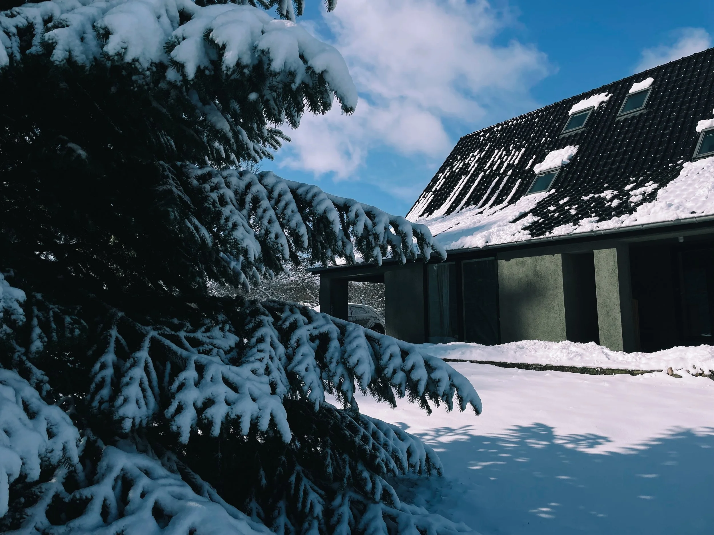 Mellenau 9. Snow-covered pine tree branches in the foreground and a house with snow on the roof in the background on a bright, clear winter day.