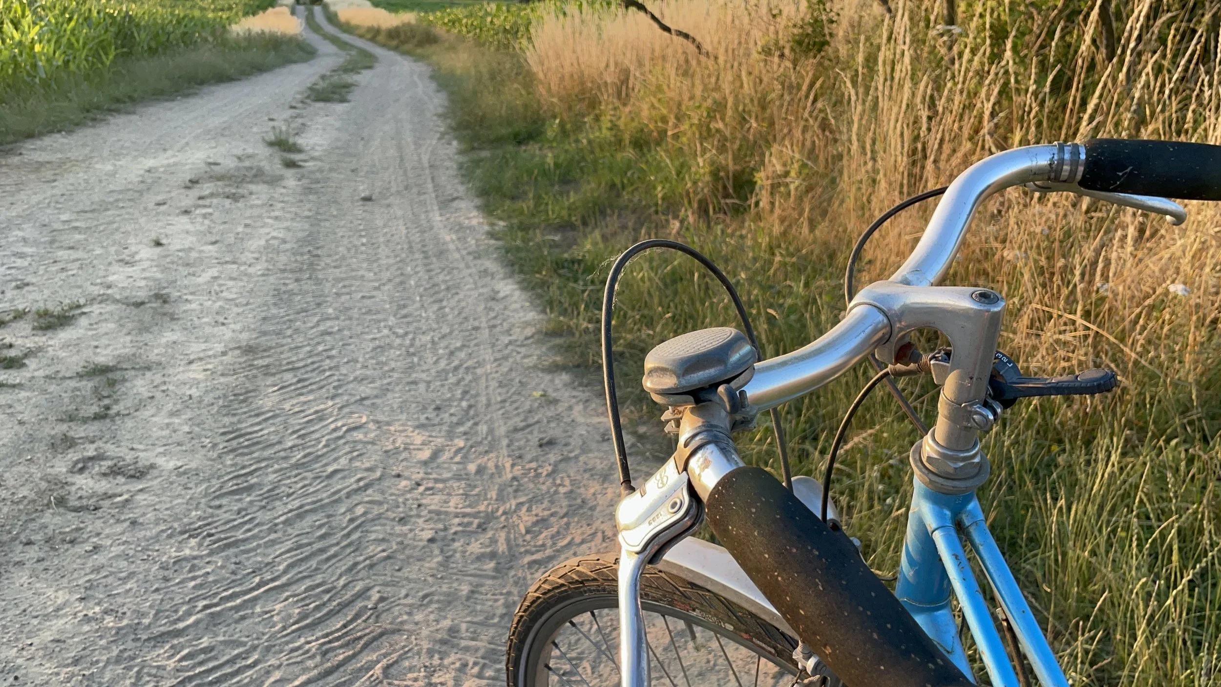 Close-up of a bicycle with a blue frame parked on a dirt trail, with tall grass and farmland on either side, during golden hour.