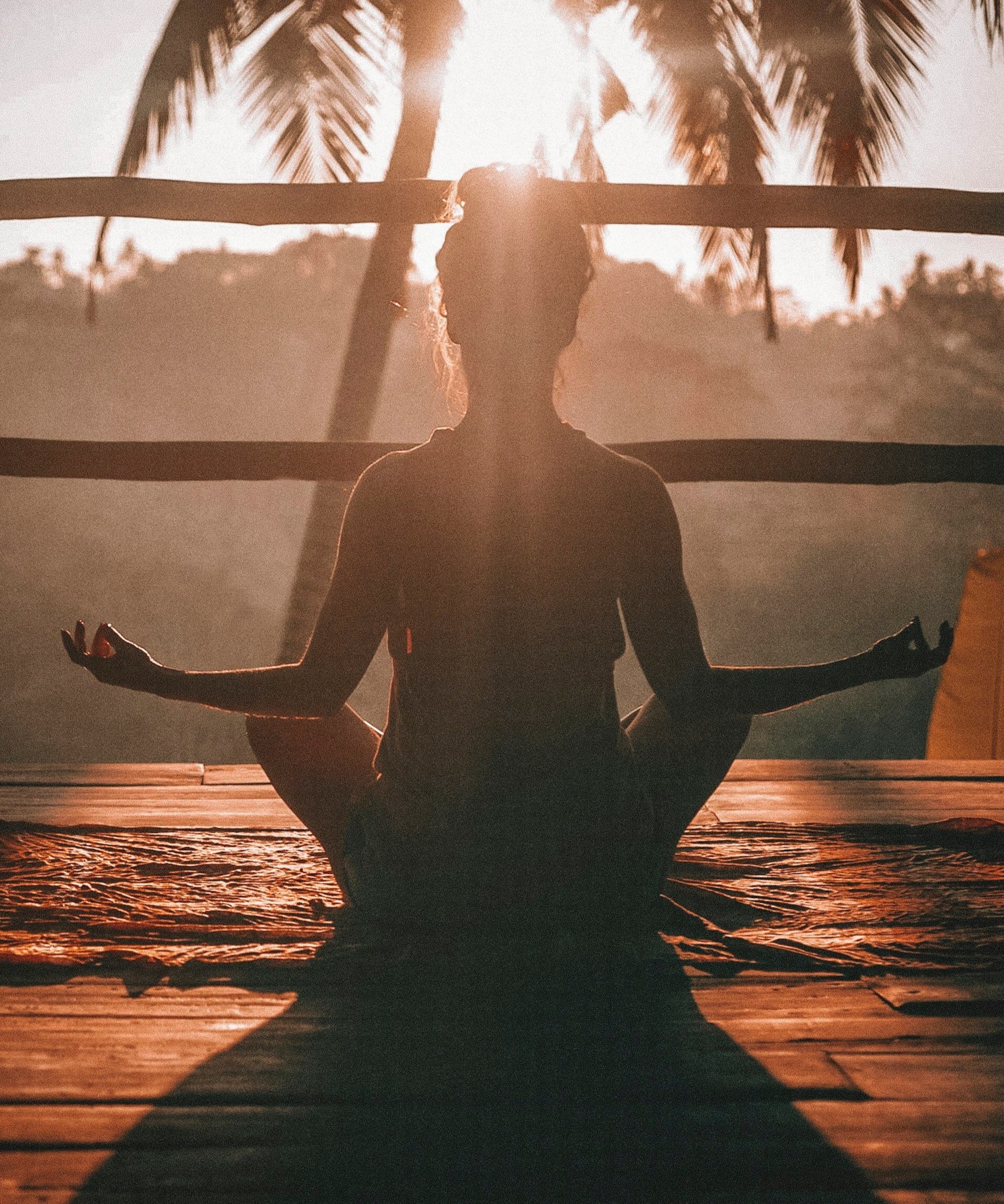 Embracing Stillness
