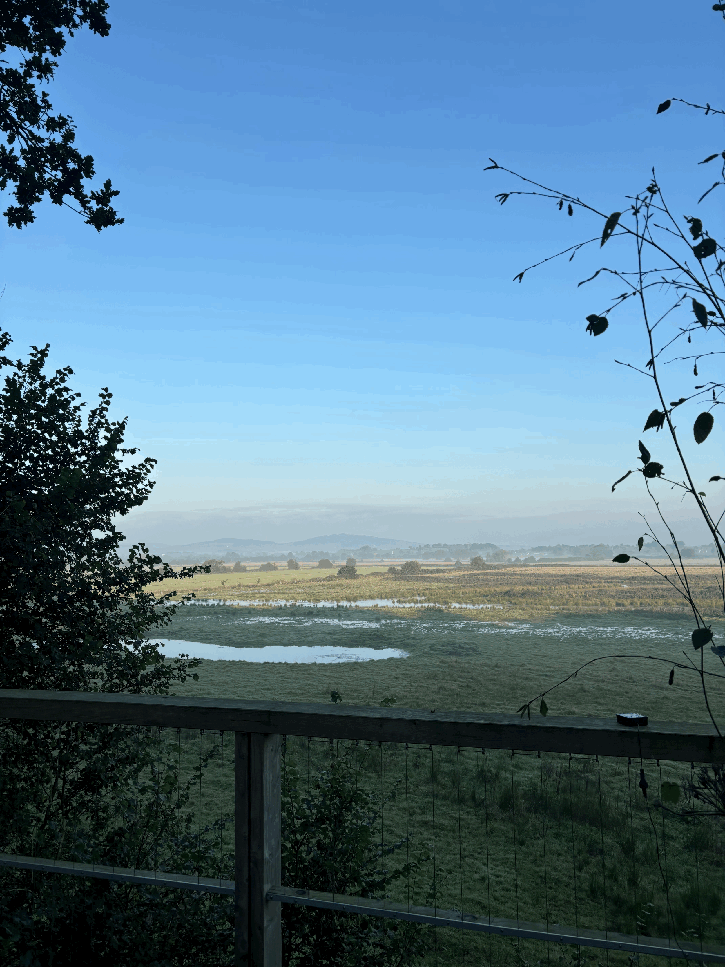 A Weekend Escape to Rewild Things Treehouse