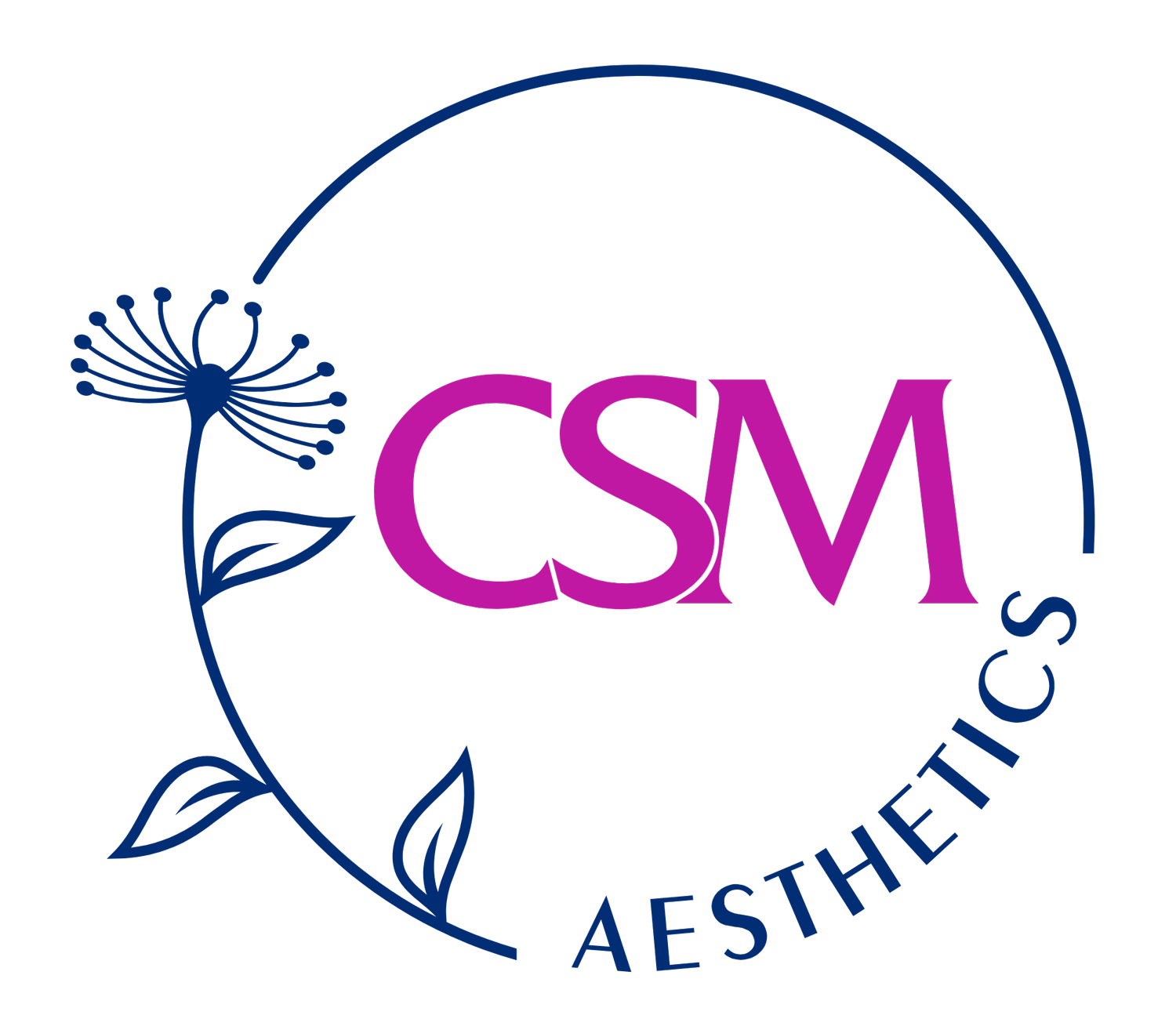 CSM Aesthetics